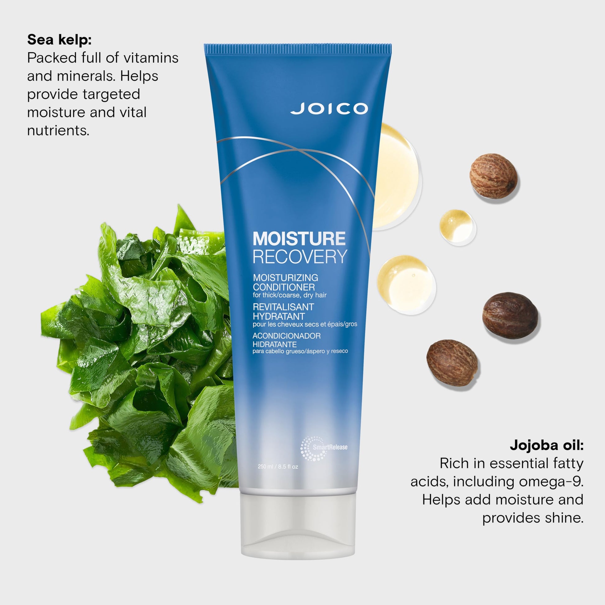 Lavender Joico Moisture Recovery Moisturizing Conditioner | For Thick, Coarse, Dry Hair | Restore Moisture, Smoothness, Strength, & Elasticity | Reduce Breakage | With Jojoba Oil & Shea Butter | 8.5 Fl Oz