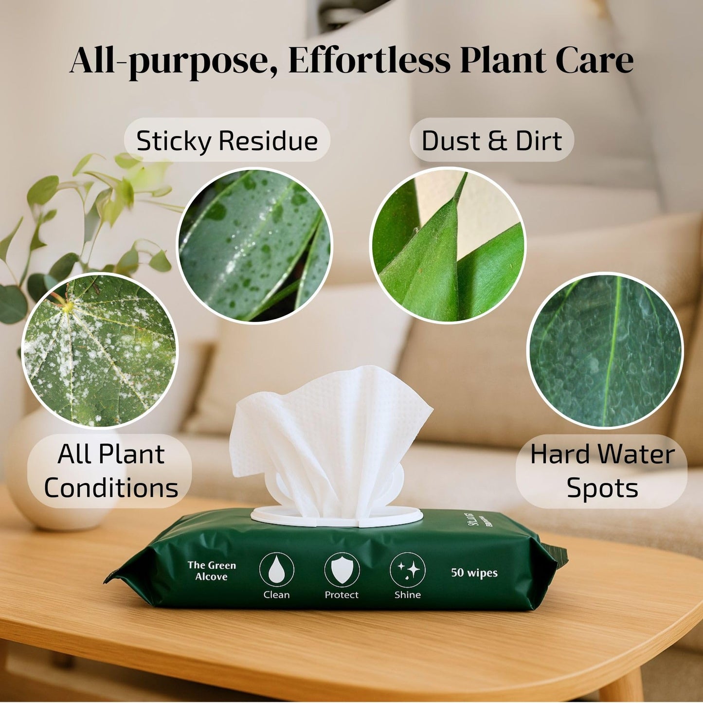Gray The Green Alcove Plant Leaf Cleaner & Leaf Shine, Plant Cleaner | 2 Pack of 50 (Total 100 Count)