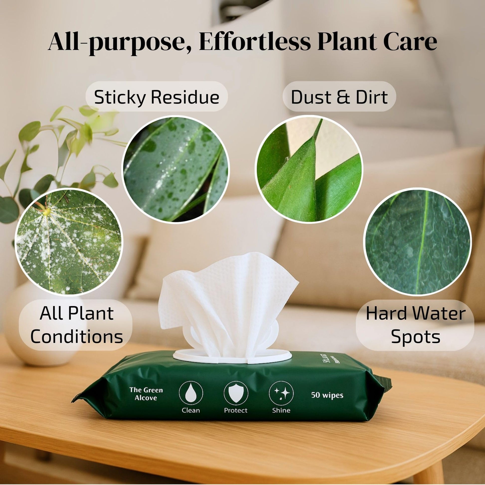 Gray The Green Alcove Plant Leaf Cleaner & Leaf Shine, Plant Cleaner | 2 Pack of 50 (Total 100 Count)