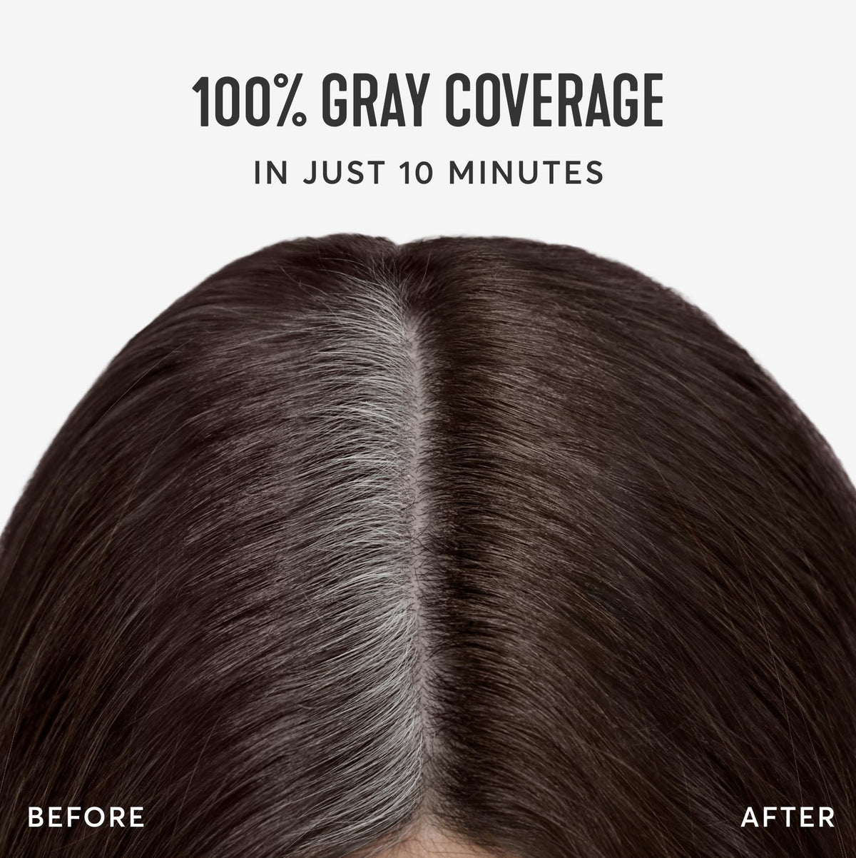 White Smoke Madison Reed Root Perfection Root Touch Up Kit – 5N Calabria Dark Brown, 100% Gray Coverage in 10 Min, Ammonia-Free, 2 Applications