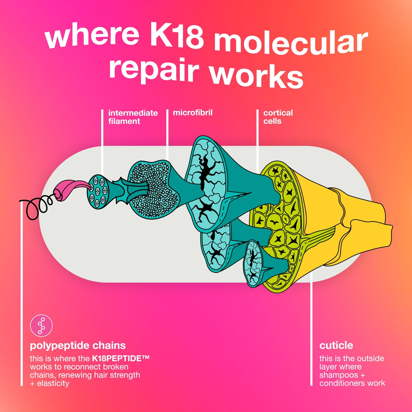 Deep Pink K18 Leave-In Molecular Repair Hair Mask, Patented, Lasting Repair For Dry, Frizzy, Damaged Hair, Reverse Damage In 4 Minutes From Bleach, Color, Chemical Services + Heat