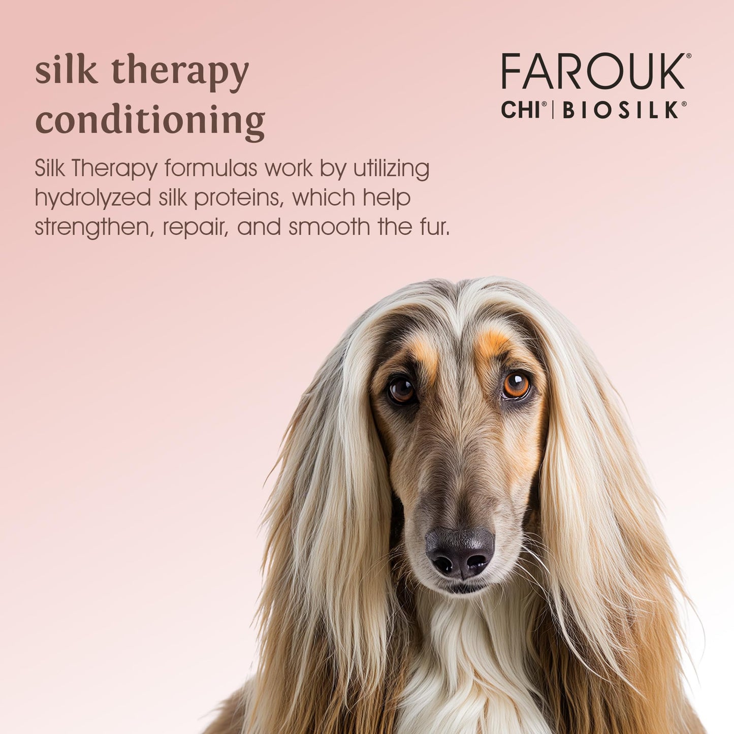 Misty Rose BioSilk for Dogs Silk Therapy Irresistible 2-in-1 Shampoo and Conditioner, Jasmine and Honey Scent, Hydrolyzed Silk Proteins, Paraben Free, pH Balanced for Dogs, Safe 8 Weeks+, 12 fl oz