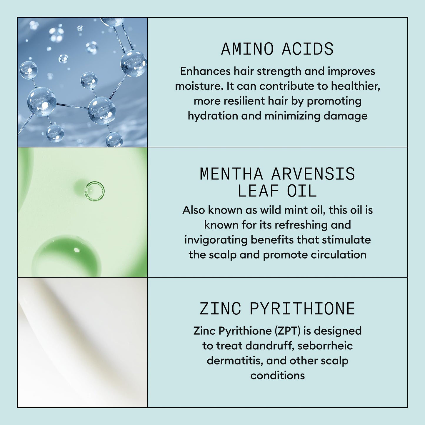 Powder Blue Nioxin Scalp Recovery System Moisturizing Conditioner | With Pyrithione Zinc and Green Tea Extracts | 6.7 Fl oz.