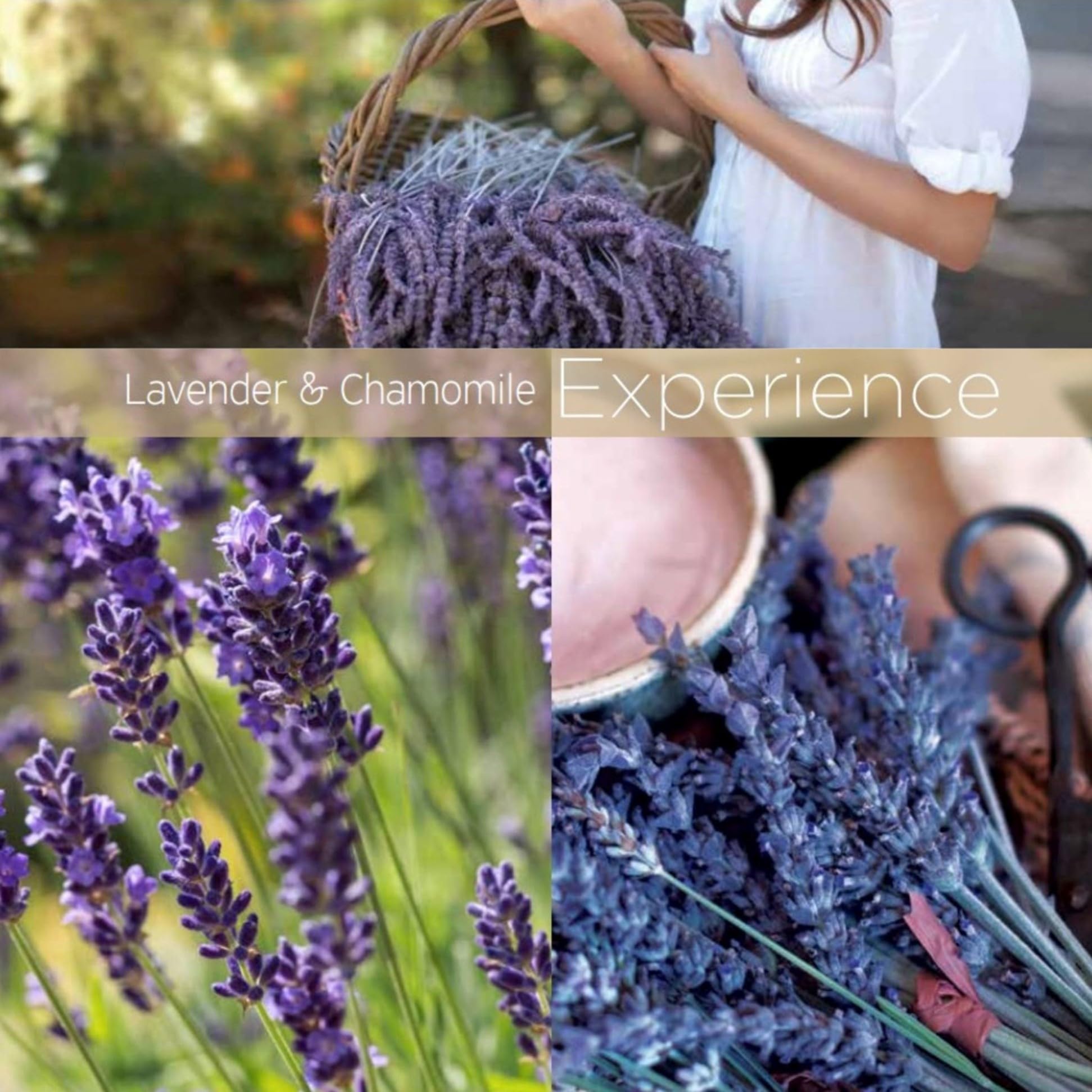 Dim Gray Cuccio Naturale Lavender & Chamomile Cuticle Revitalizing Oil, 8 Fl Oz, Plant-Derived Formula for Dry Cuticles