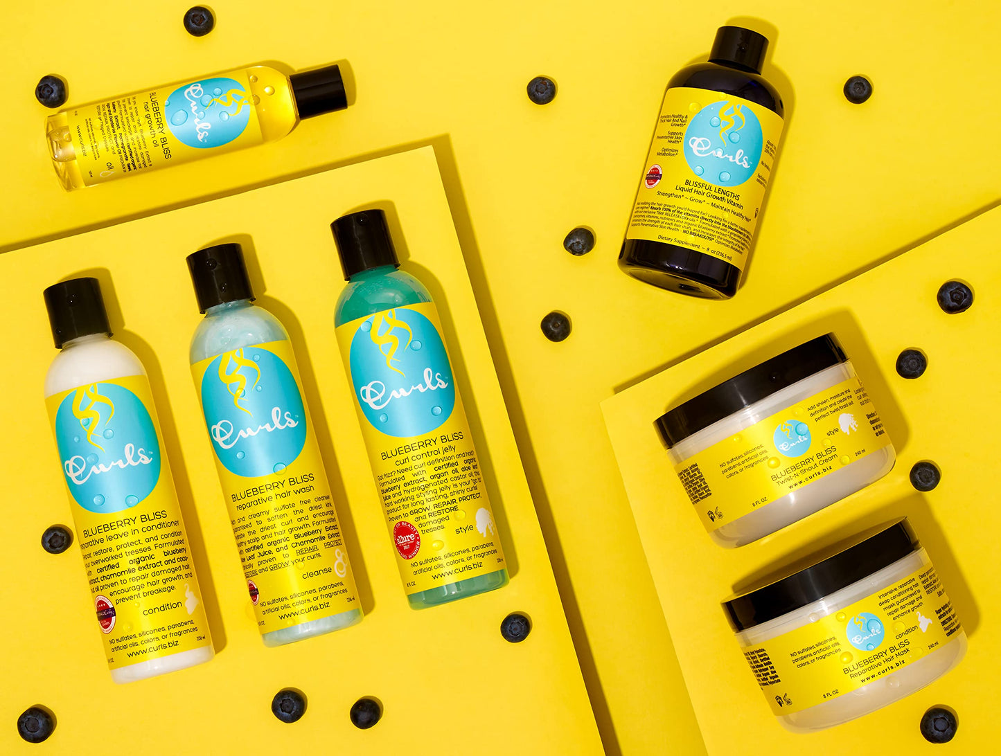 Gold CURLS Aloe & Blueberry Juice Curl Moisturizer (8oz) Curl Refresher Spray for Curly Hair with Organic Blueberries Extract and Aloe Leaf Juice to Revive & Rejuvenate 2nd Day Curls and Promote Hair Growth