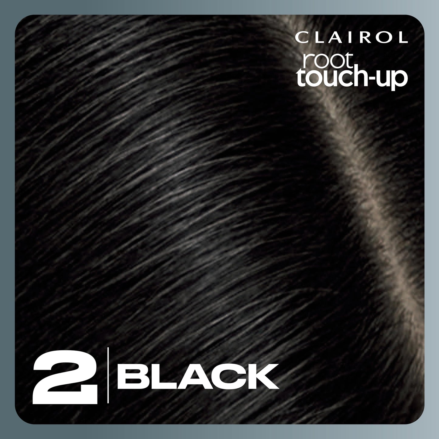 Black Clairol Root Touch-Up by Nice'n Easy Permanent Hair Dye, 2 Black Hair Color| 100% Gray Coverage | Easy Brush Application | Matches Professional Salon Shades | Pack of 2
