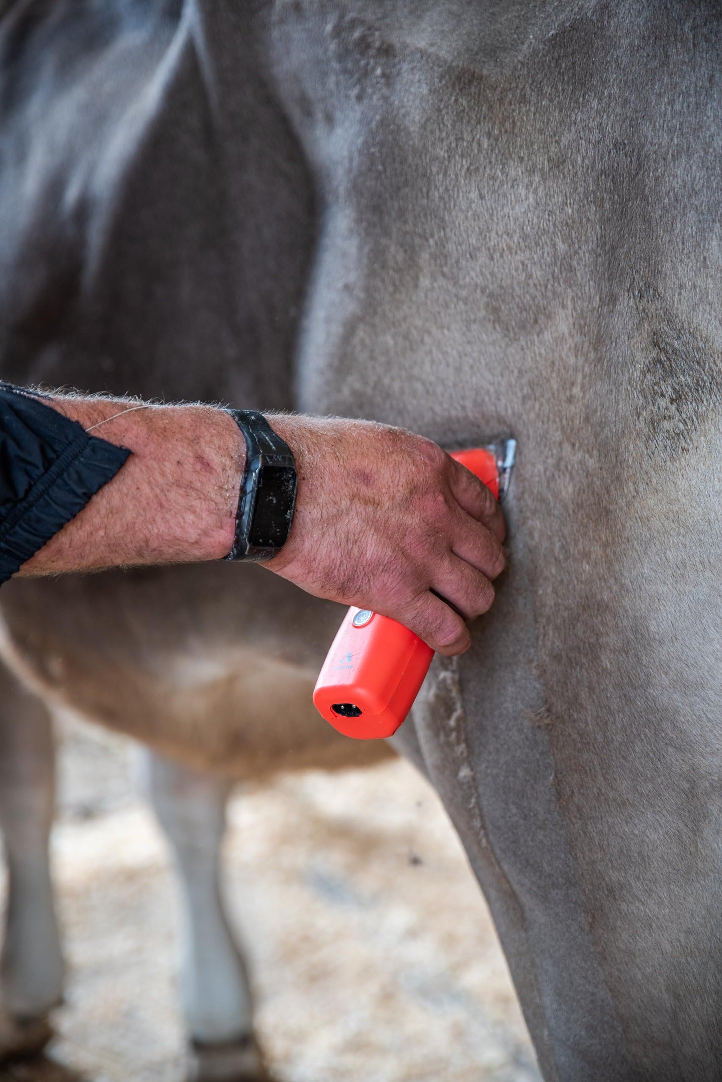 Dim Gray Andis 562275 Emerge Cord/Cordless Pet Clipper – Detachable Wide Blade, Includes #30 ceramicEDGE, Powerful Motor, Professional Grooming Performance