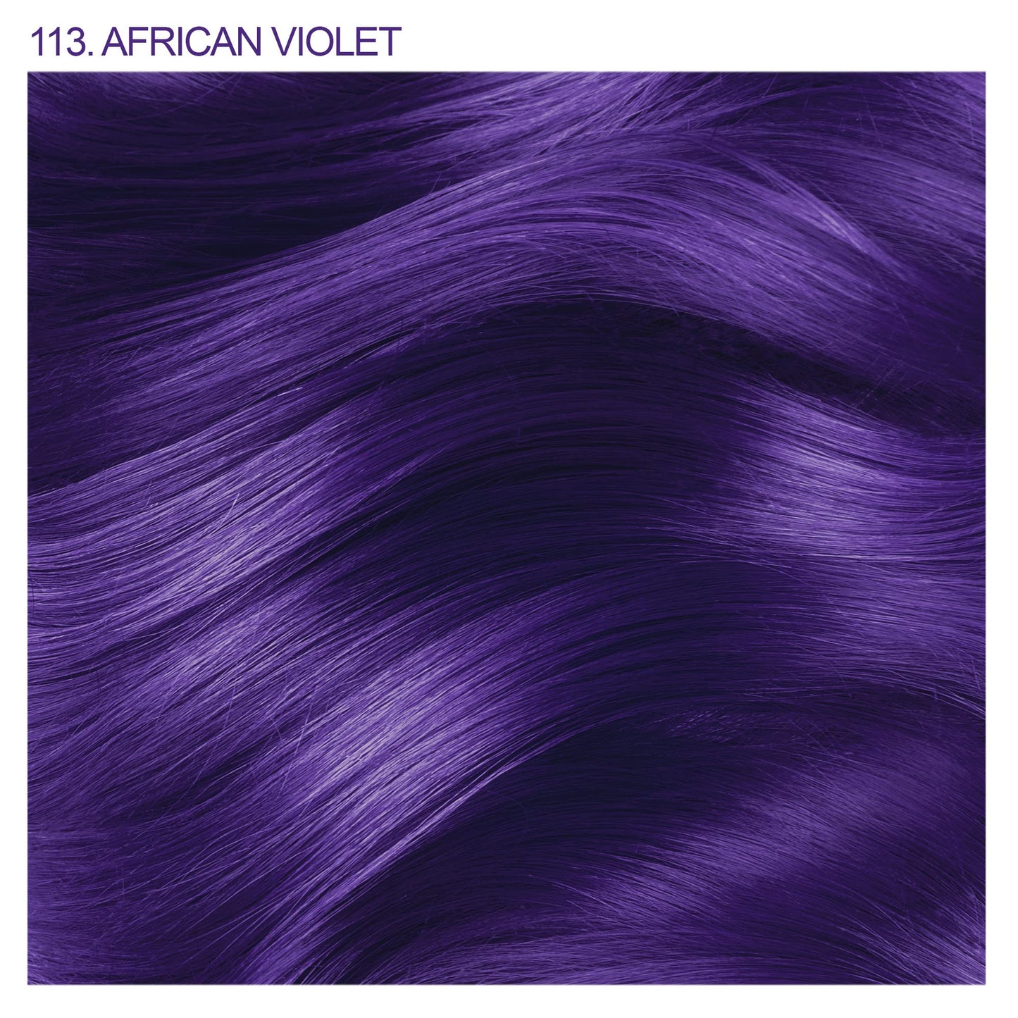 Midnight Blue Adore Semi Permanent Hair Color - Vegan and Cruelty-Free Hair Dye - 4 Fl Oz - 113 African Violet (Pack of 3)