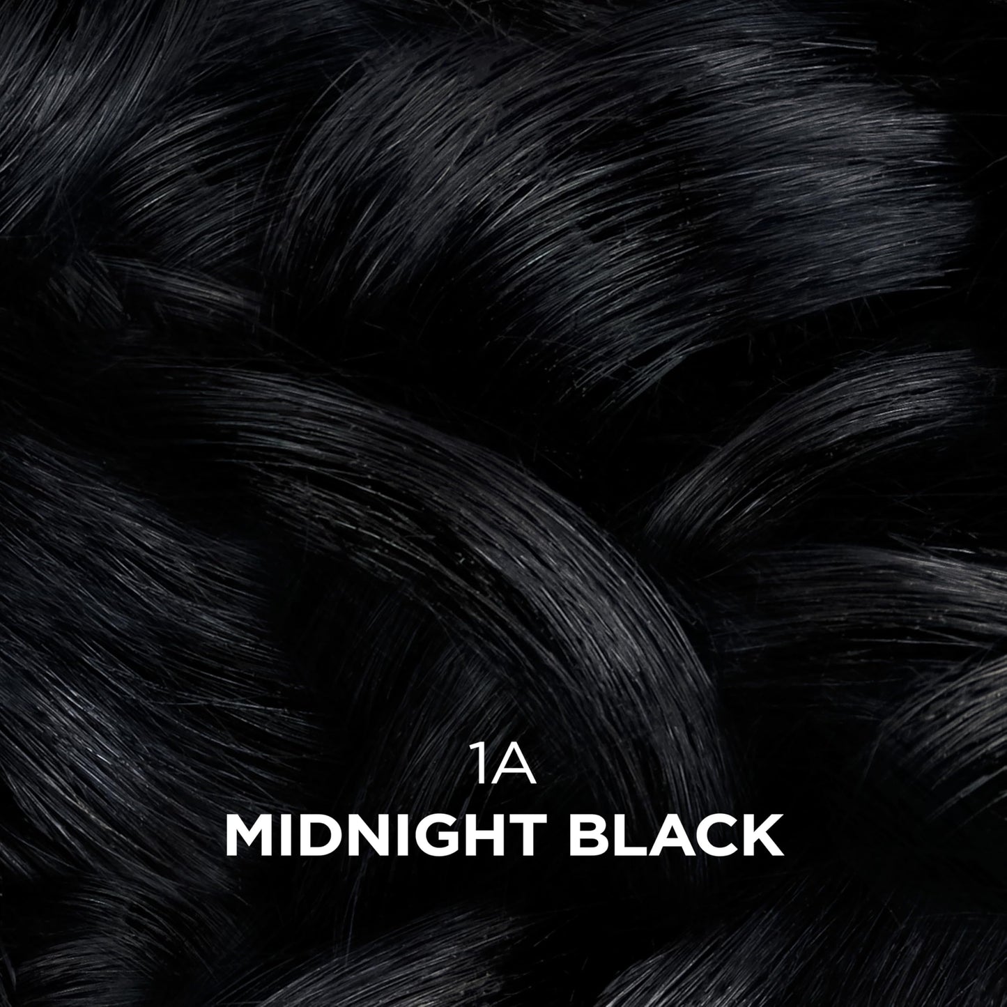 Black Clairol Professional Beautiful Collection Advanced Gray Solutions, 1A Midnight Black, 3 oz. - Packaging May Vary