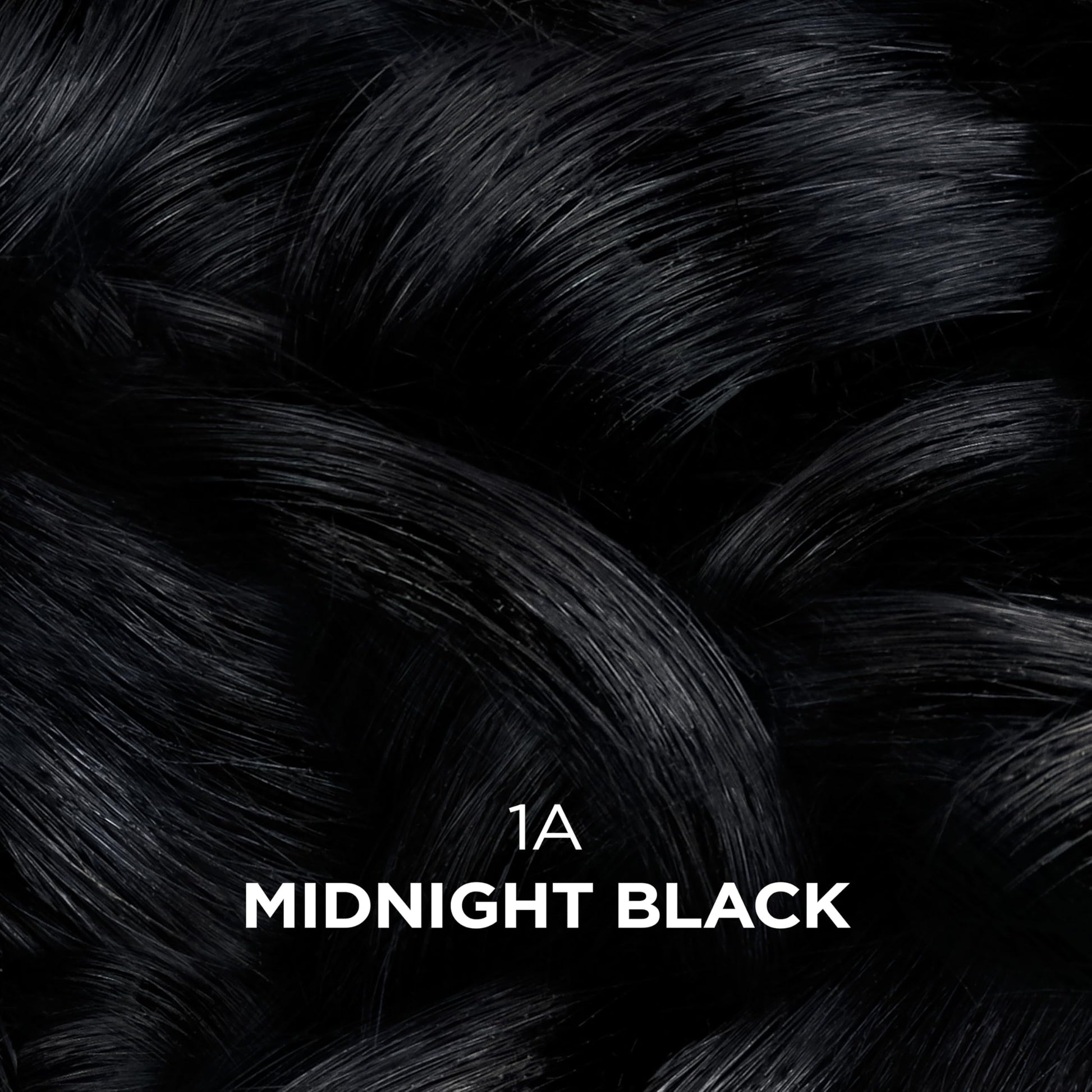 Black Clairol Professional Beautiful Collection Advanced Gray Solutions, 1A Midnight Black, 3 oz. - Packaging May Vary
