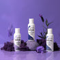 Adore Semi Permanent Hair Color - Vegan and Cruelty-Free Hair Dye - 4 Fl Oz - 113 African Violet (Pack of 3)