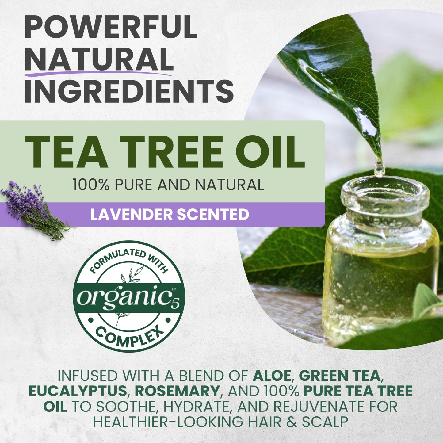 Lavender KESMEDIK Tea Tree Hair Mask with Rosemary & Lavender, Deep Conditioning Treatment for Dry, Damaged, Coarse Hair, Hydrating Hair Mask with Itchy Scalp Relief, Men & Women, Sulfate-Free