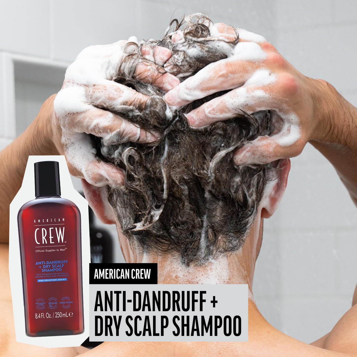 Gray American Crew Anti-Dandruff + Dry Scalp Shampoo for Men, Citrus Mint Scent, 8.4 fl oz