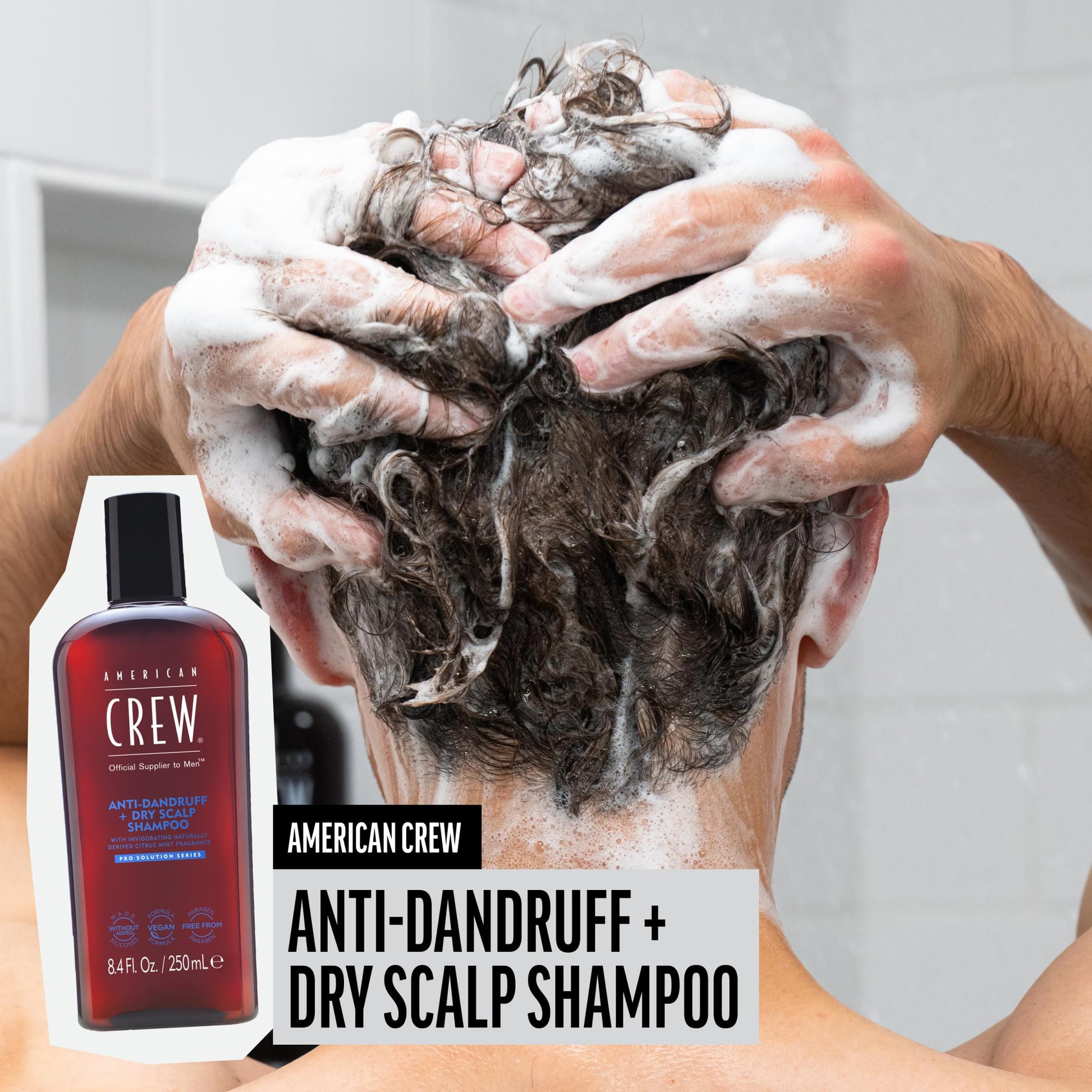 Gray American Crew Anti-Dandruff + Dry Scalp Shampoo for Men, Citrus Mint Scent, 8.4 fl oz