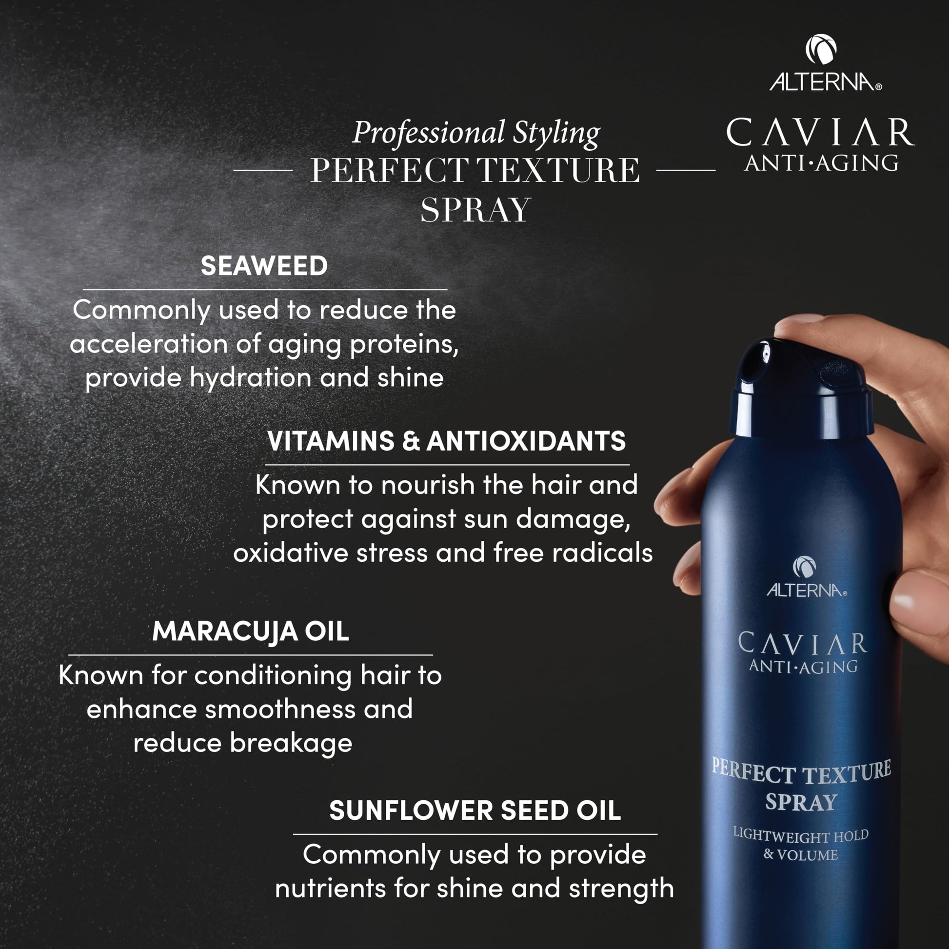 Dark Slate Gray Alterna Caviar Professional Styling Perfect Texture Spray, 6.5 Ounce (Pack of 1)