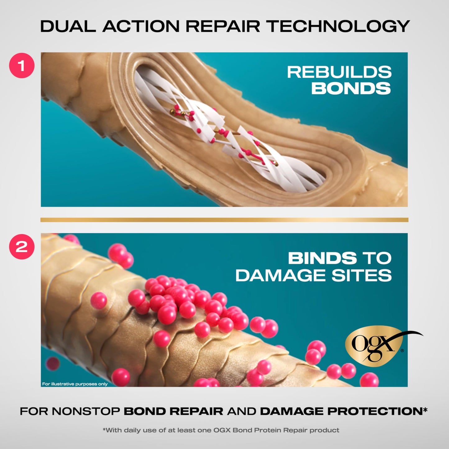 Lavender OGX Repair & Protect Bond Protein Repair Shampoo, Lightweight Hair Wash Cleanses & Targets Damaged Hair for Effective Bond Repair, Formulated without Parabens, 13 fl. oz