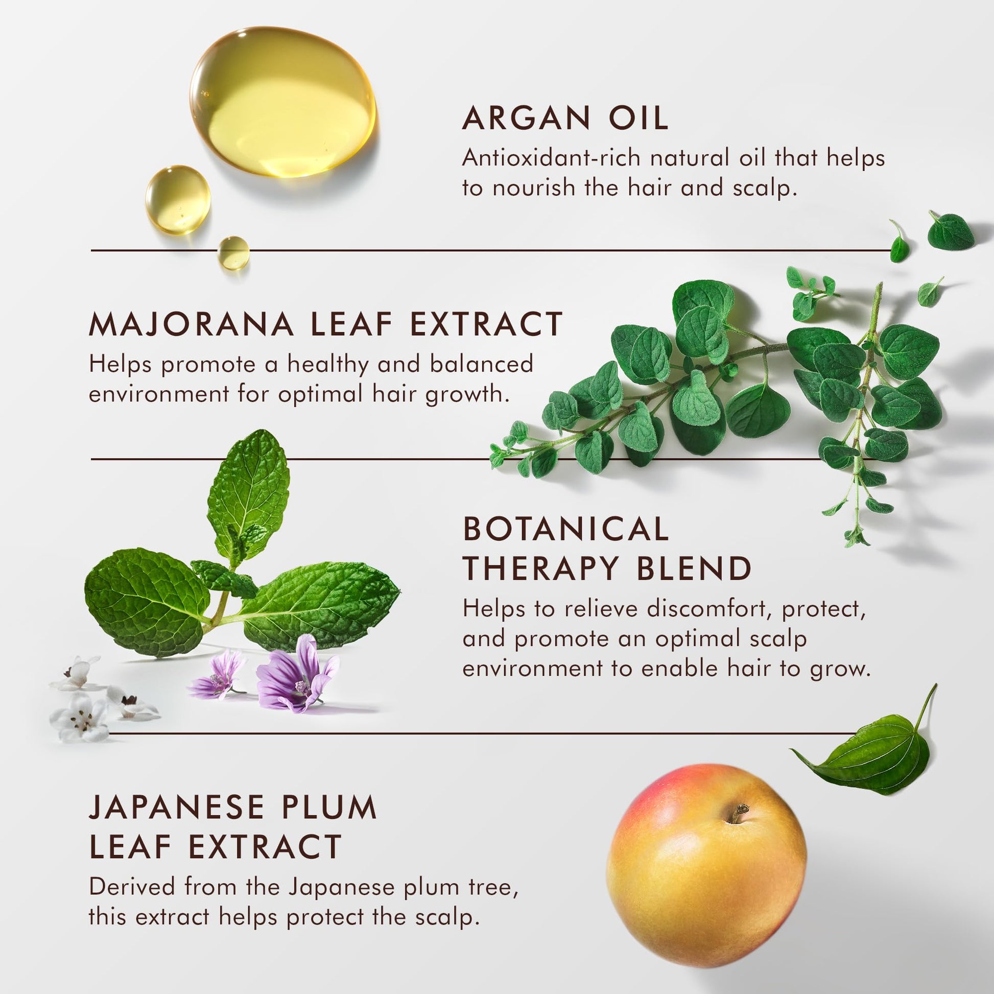Lavender Moroccanoil Revitalizing Scalp Tonic Treatment for Thinning Hair