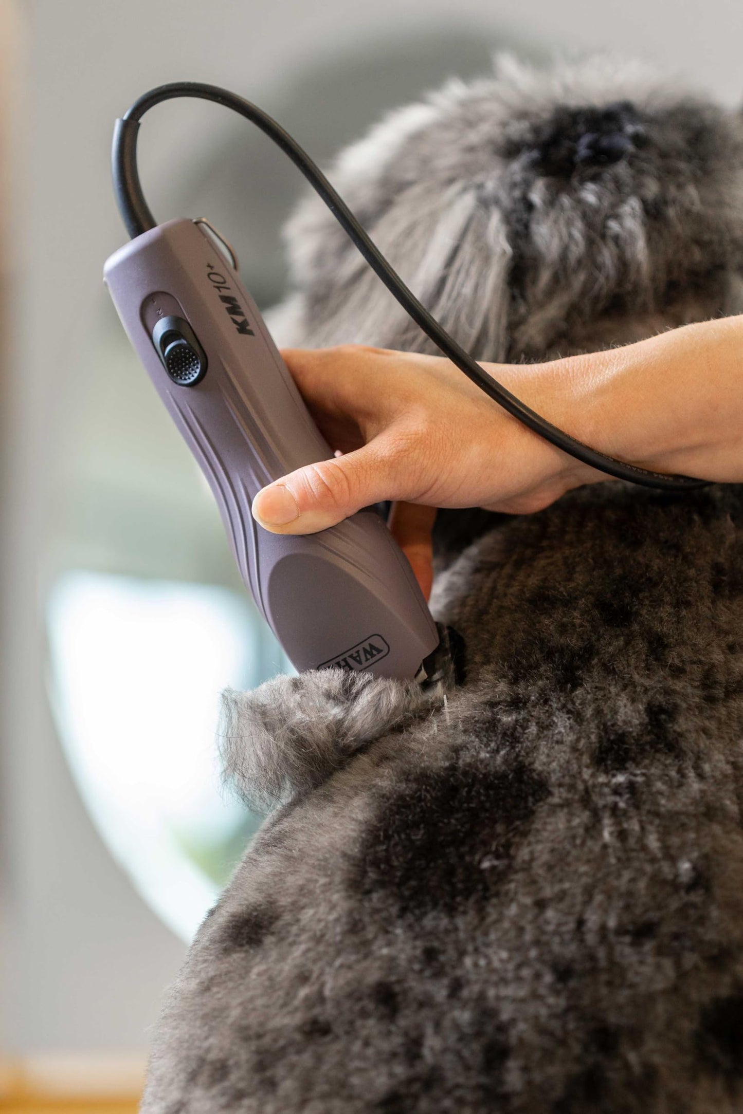 Gray Wahl Pro Animal KM10+ Corded Clipper - New #10 Prime Series Blade, LOCKGUARD Patent Pending Technology & Textured Housing Design - Clippers for Cats, Dogs & Horses - Lightweight - 2-Speeds - Purple
