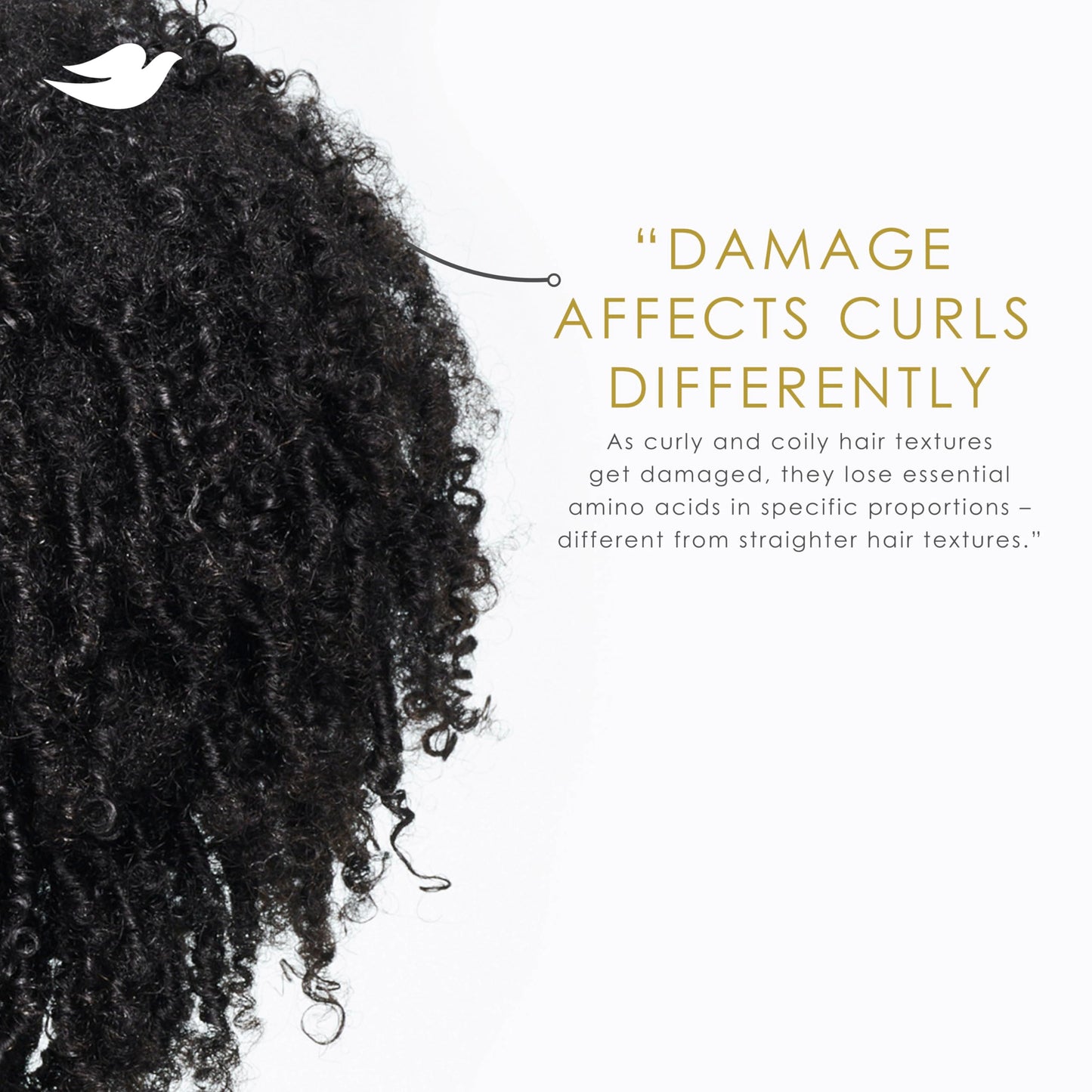 White Smoke Dove Curl Cream Amino Curl for Curly, Coily Hair with Bio-Protein Care Technology + Amino Complex 8 Fl Oz