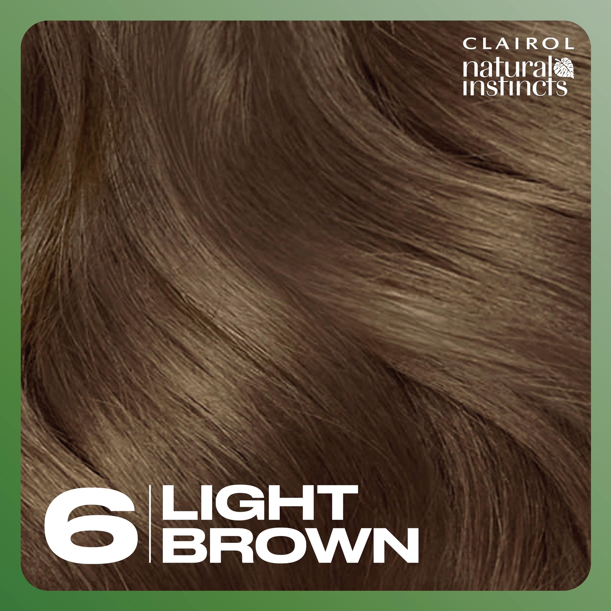 Dark Slate Gray Clairol Natural Instincts Demi-Permanent Hair Color, 6 Light Brown Hair Color, Pack of 1