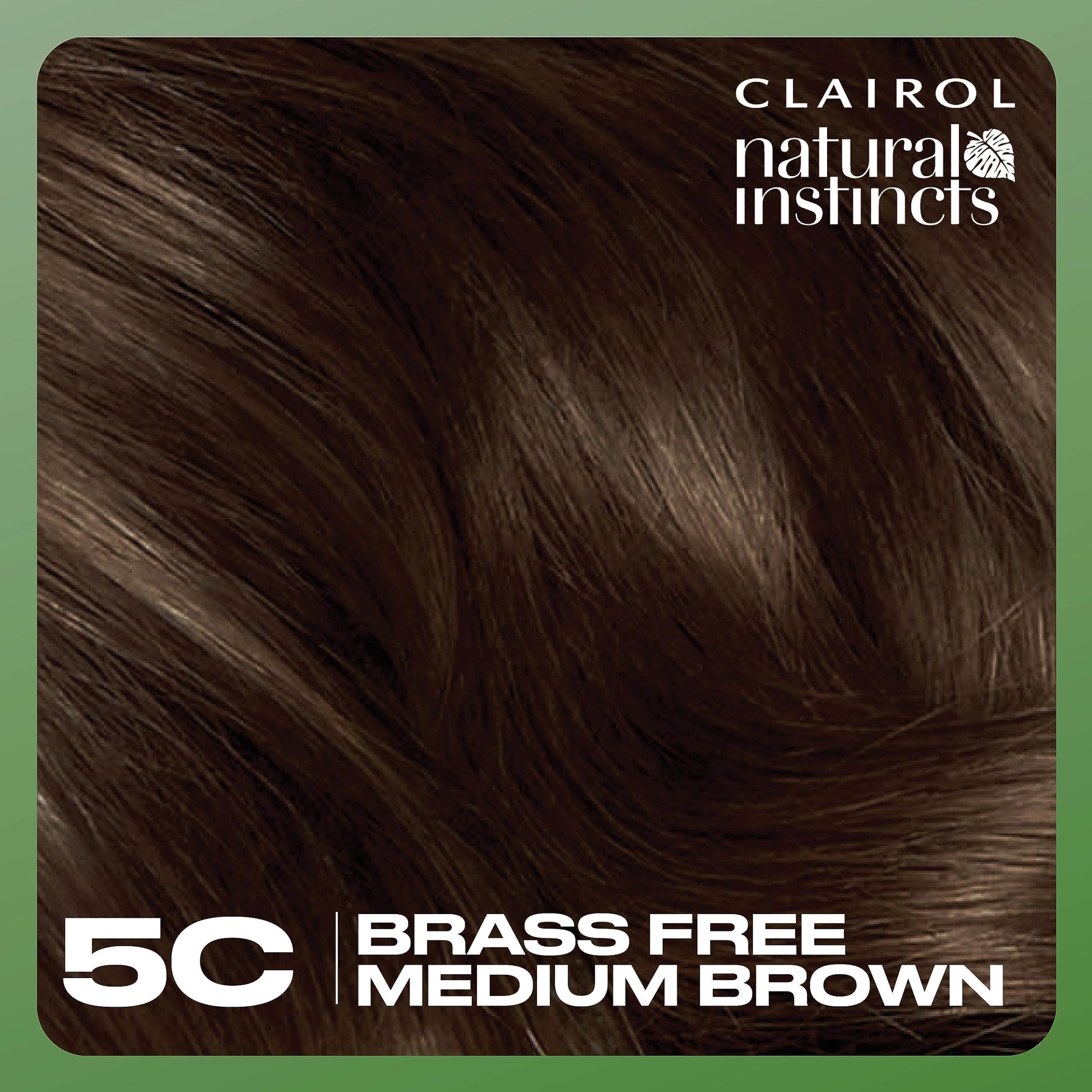 Black Clairol Natural Instincts Demi-Permanent Hair Dye, 5C Brass Free Medium Brown Hair Color, Pack of 3