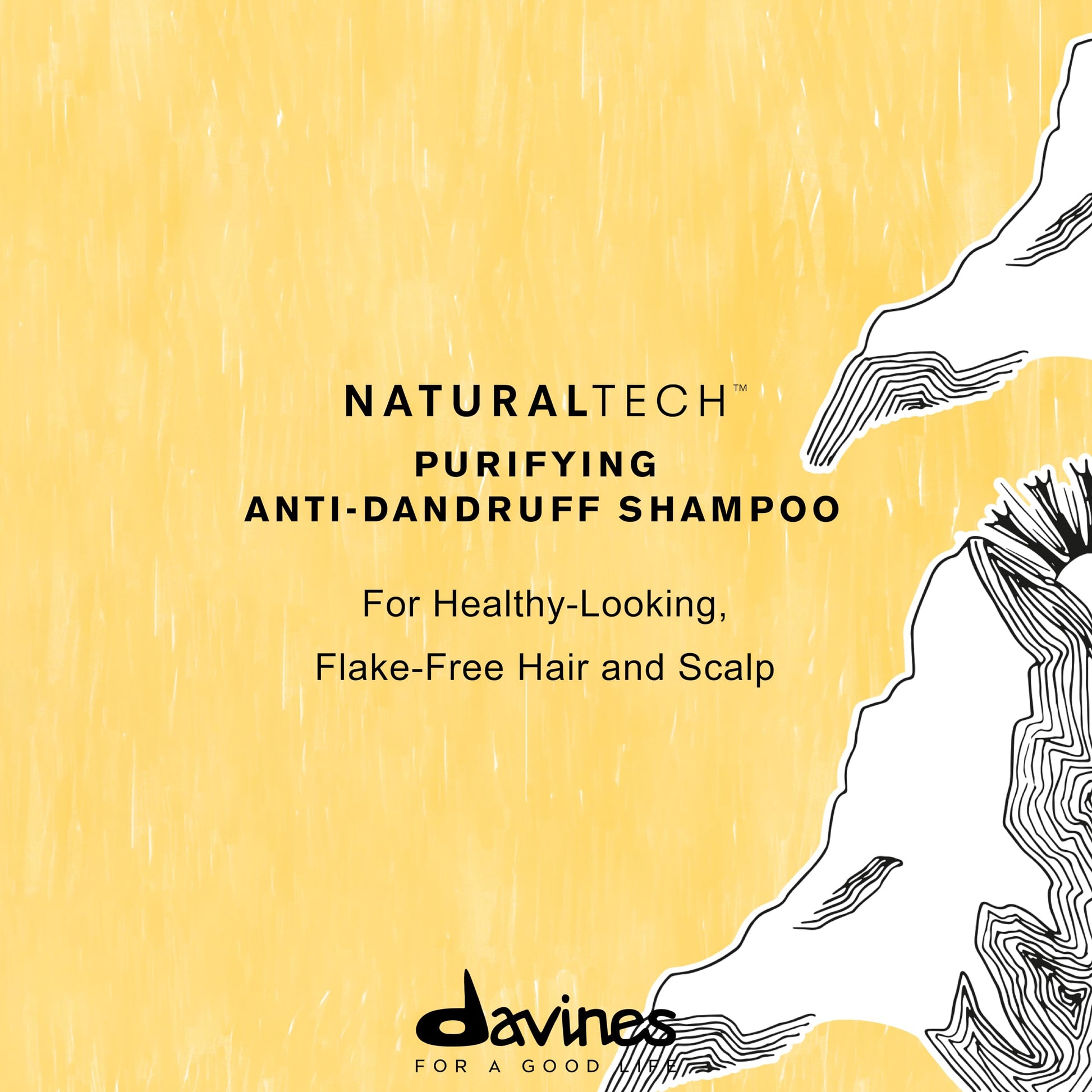 Light Goldenrod Davines Naturaltech Purifying Shampoo, Clarifying & Anti-Dandruff for Dandruff (Oily or Dry) - With Dandelion Phytoceuticals - Cleanser for Scalp with Dandruff, 8.45 Fl Oz