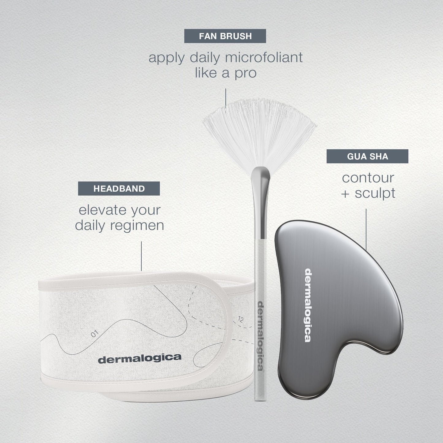 Lavender Dermalogica Your Moment of Expertise – Expert Level Skin Care Routine Set Includes 6 Products, Headband, Gua Sha, Fan Brush