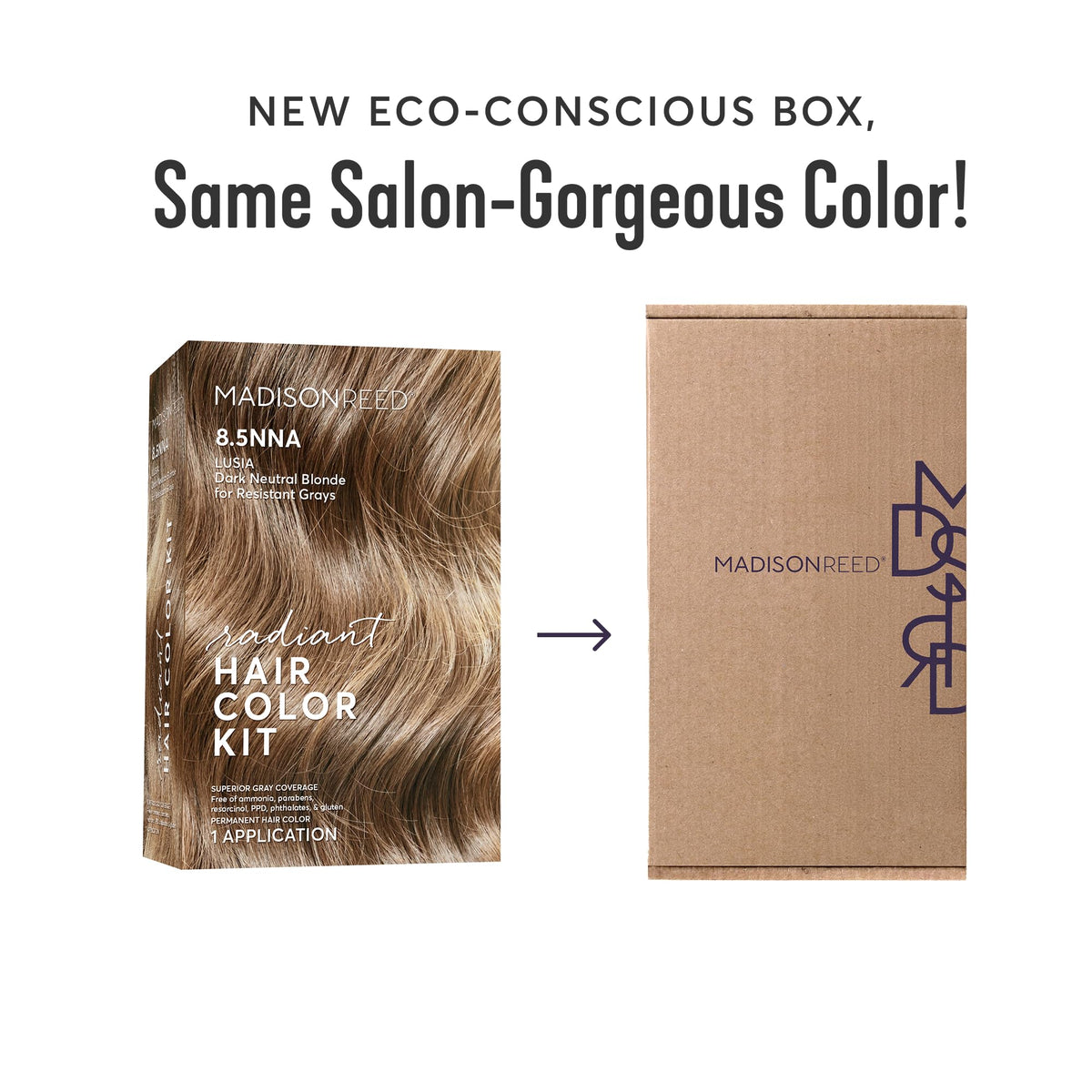 White Smoke Madison Reed Radiant Hair Color Kit - 8.5NNA Dark Neutral Blonde (Lusia Blonde), 100% Gray Hair Coverage Permanent Hair Dye for Resistant Grays | PPD-Free & Ammonia-Free, 1 Pack
