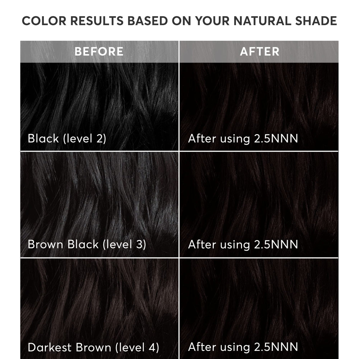Black Madison Reed Radiant Hair Color Kit - 2.5NNN Soft Black (Parma Black), 100% Gray Hair Coverage Permanent Hair Dye for Resistant Grays | PPD-Free & Ammonia-Free, 1 Pack