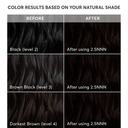 Black Madison Reed Radiant Hair Color Kit - 2.5NNN Soft Black (Parma Black), 100% Gray Hair Coverage Permanent Hair Dye for Resistant Grays | PPD-Free & Ammonia-Free, 1 Pack