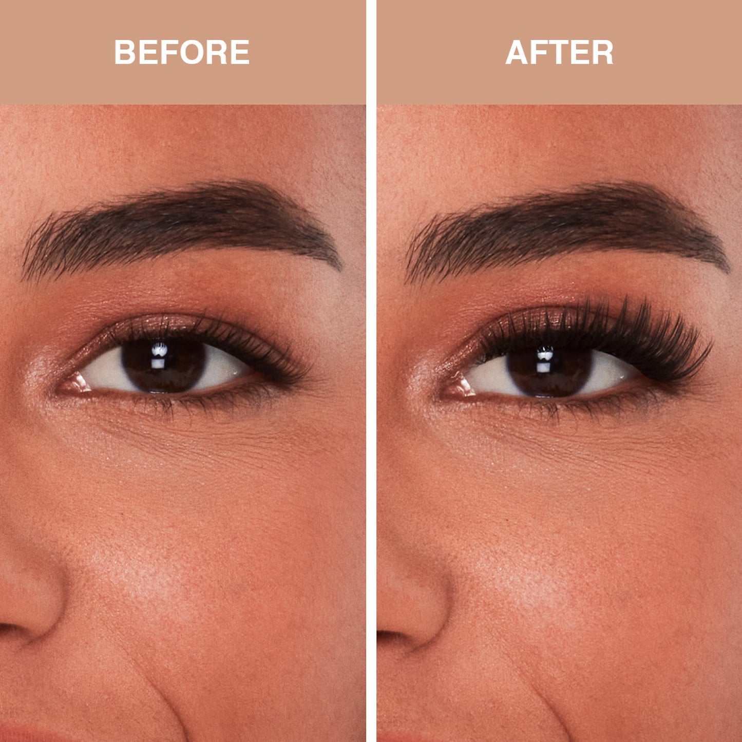 Coral Ardell Pre-Mapped Eyelash Extensions - False Lashes Kitten Eye, Reusable Segmented Lash Strips, Natural-Looking Lash Extensions, 3 Pack