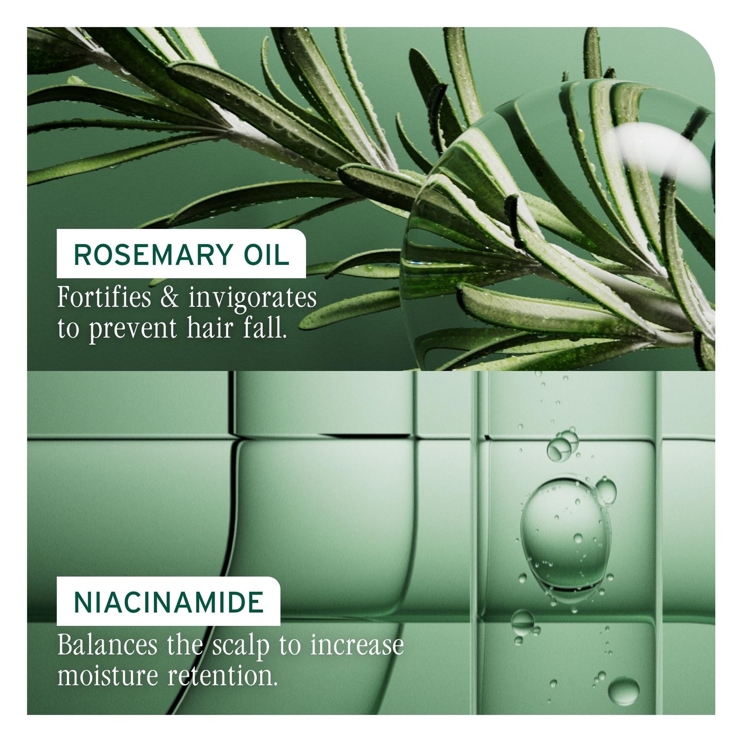 Dark Sea Green Biolage Full Rescue Invigorating Serum - for Stronger Hair, Longer Lengths in 4 weeks*, Balances Scalp & Fortifies Strands at the Root, Rosemary Oil & Niacinamide, Vegan & Paraben-Free, 1.6 Fl Oz