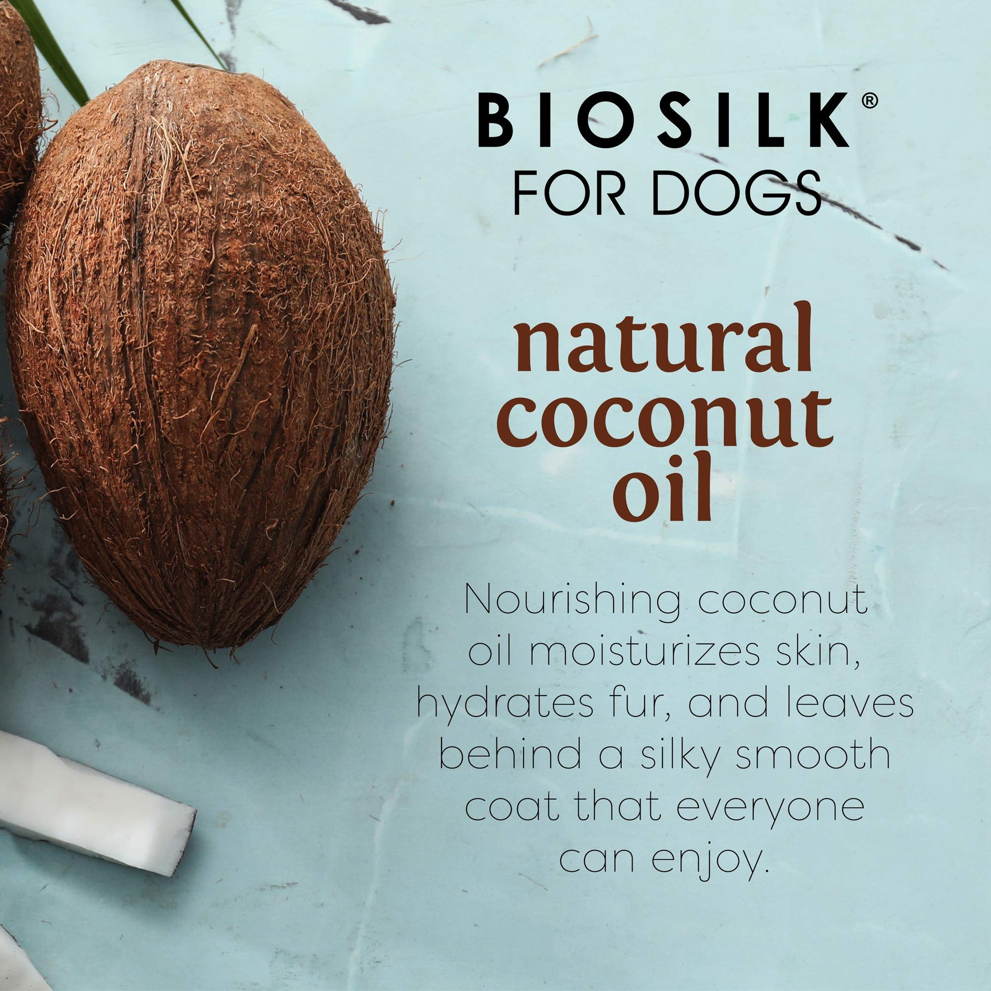 Light Blue BioSilk for Dogs Silk Therapy Shampoo With Natural Coconut Oil | Sulfate and Paraben Free Natural Dog Shampoo, 12 Fl Oz - 6 Pack | Made in the USA
