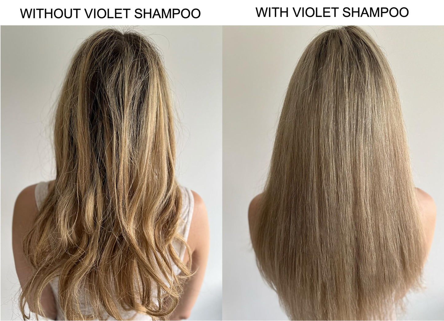Gray Alcôve - Violet Shampoo - Evening Primrose Oil, Mango Extract, and Argan Oil - Sulfate-Free - Blonde Hair - Colored Hair - Neutralize Yellow Tones - Refresh Highlights - Color-Safe -10oz