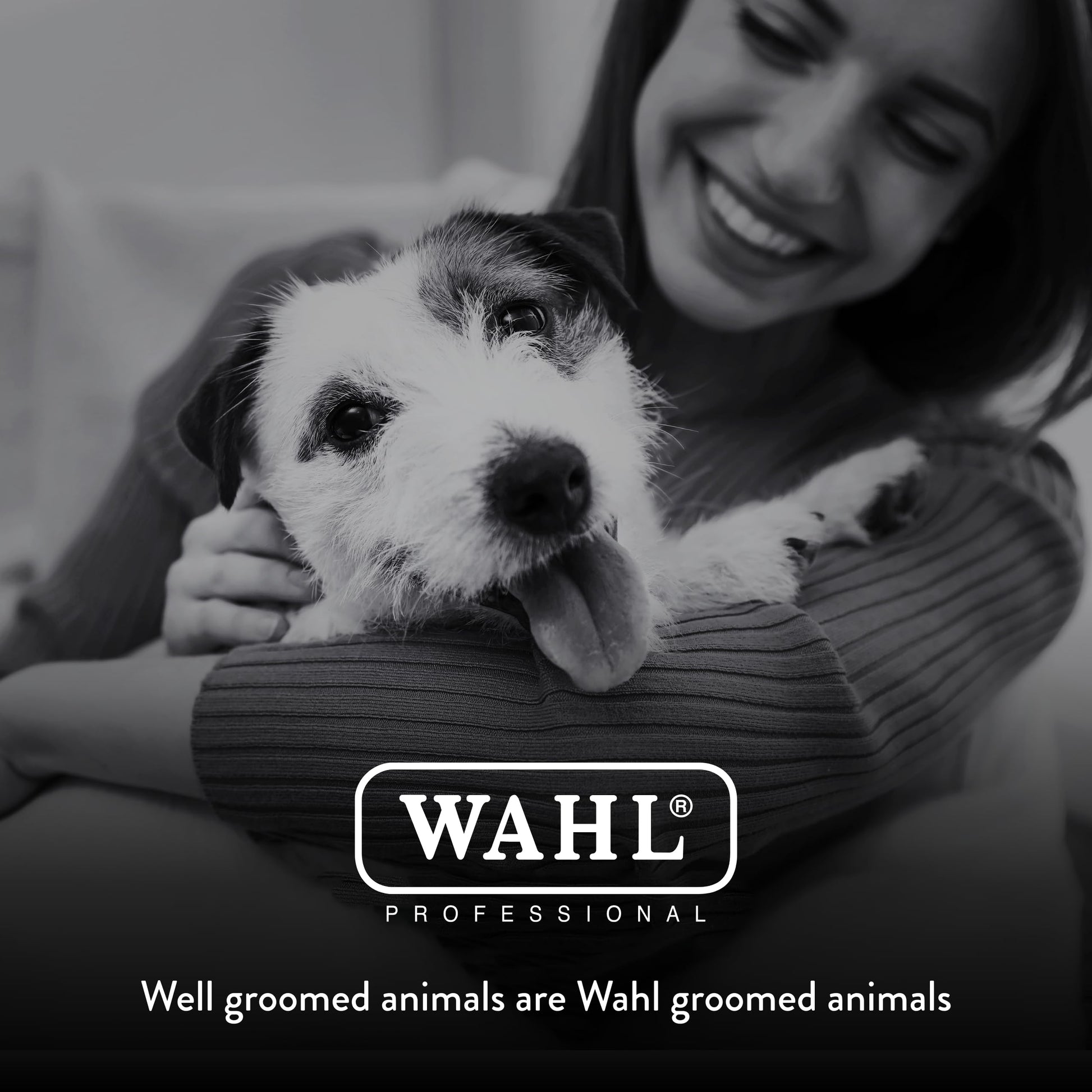 Black WAHL Professional Animal Attachment Guide Comb 10-Pack Grooming Set (Fits only with Wahl's Show Pro Plus, Color Groom, Stable Grip, Iron Horse, Pro Ion, U-Clip, & Deluxe U-Clip Clippers) (3173-500)