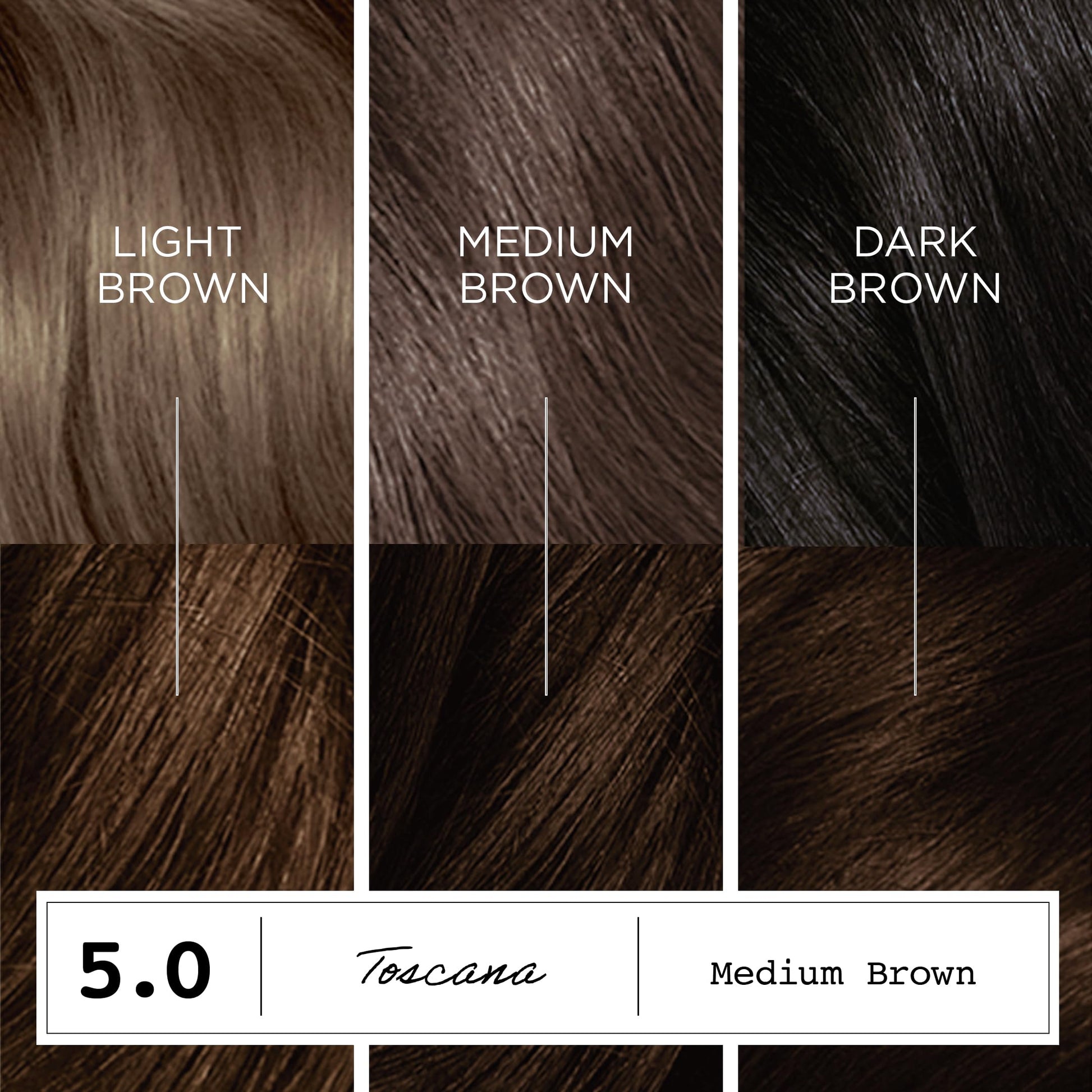 Black Clairol ColorStrong Permanent Hair Dye, Ammonia‑Free, PPD‑Free, 100% Gray Coverage with Bonding System, 5.0 Medium Brown - Toscana Hair Color, Pack of 1