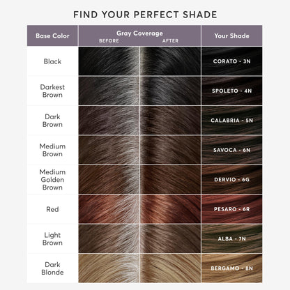White Smoke Madison Reed Root Perfection Root Touch Up Kit – 4N Spoleto Darkest Brown, 100% Gray Coverage in 10 Min, Ammonia-Free, 2 Applications