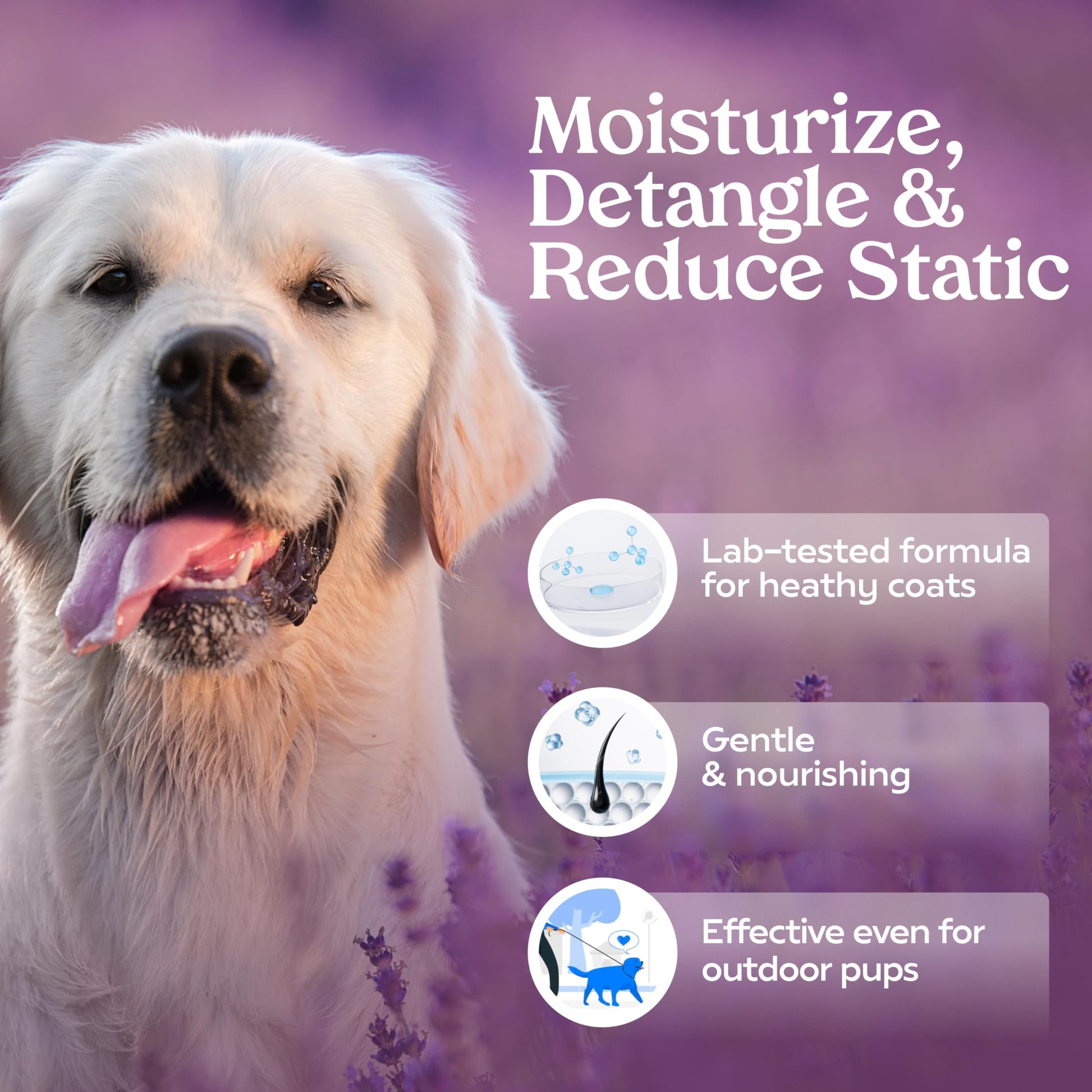 Rosy Brown PAWFUME Dog Detangler Grooming Spray, Royal Lavender, 1-Pack – Keeps Pups Fresh All Day – Hypoallergenic, Alcohol-Free, Detangling & Moisturizing – Salon-Quality Dog Necessities for Coat & Fur Care