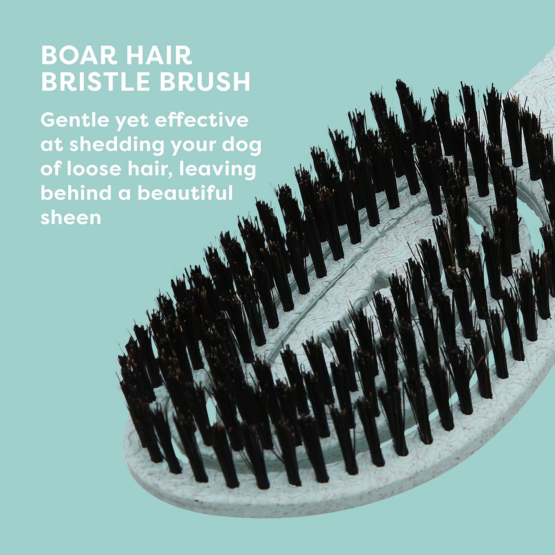 Black BioSilk for Dogs Eco-Friendly Boar Hair Bristle Brush in Mint Green | Easy to Hold Ergonomic Handle Dog Brush for Shedding | Best Pet Brush for Dog Grooming