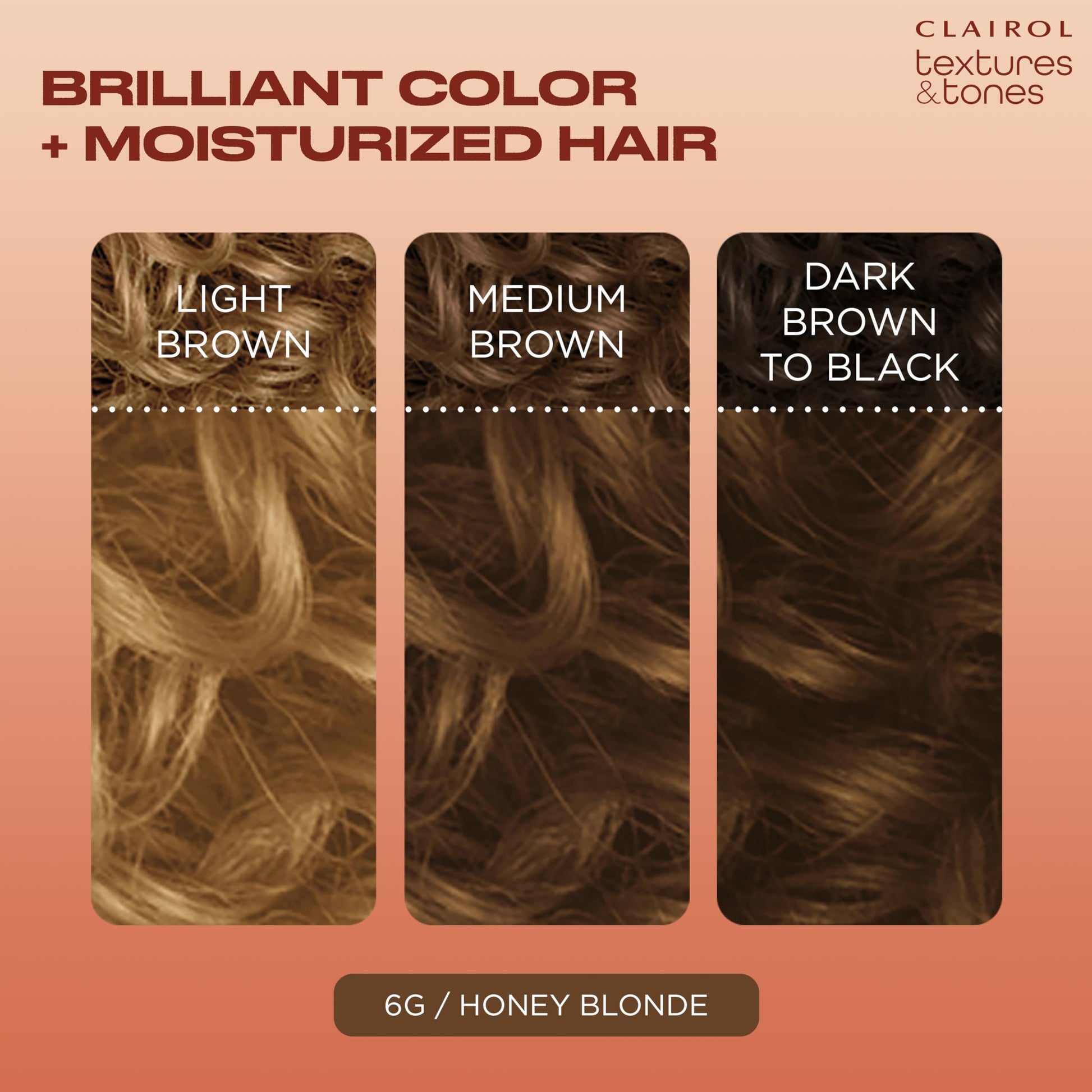 Coral Clairol Textures & Tones Permanent Hair Dye, 6G Honey Blonde Hair Color| Ammonia Free | Moisture-Rich Formula with Argan, and Olive Oil for Brilliant Shine | Pack of 1