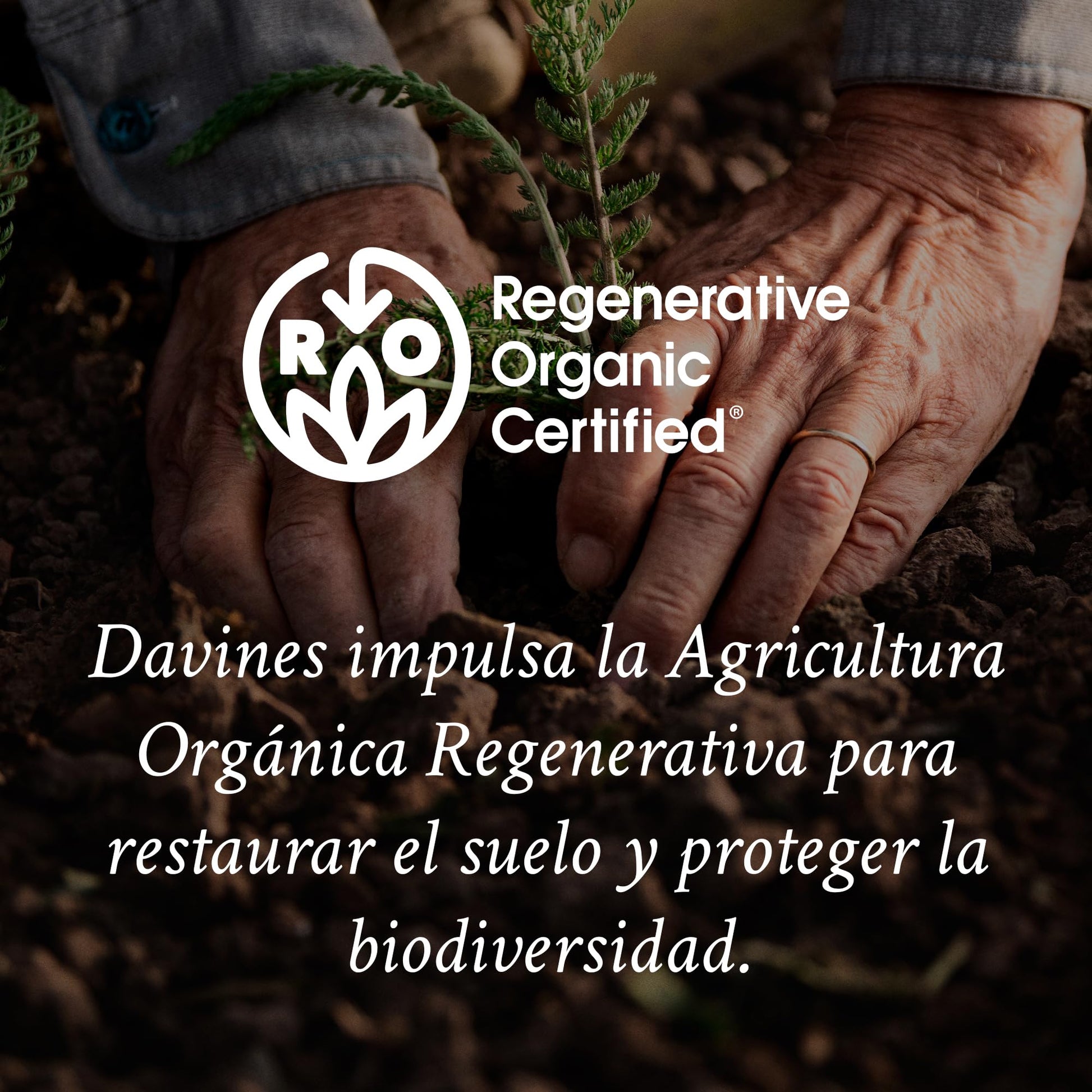 Black Davines Alchemic Silver Shampoo 8.45 oz
