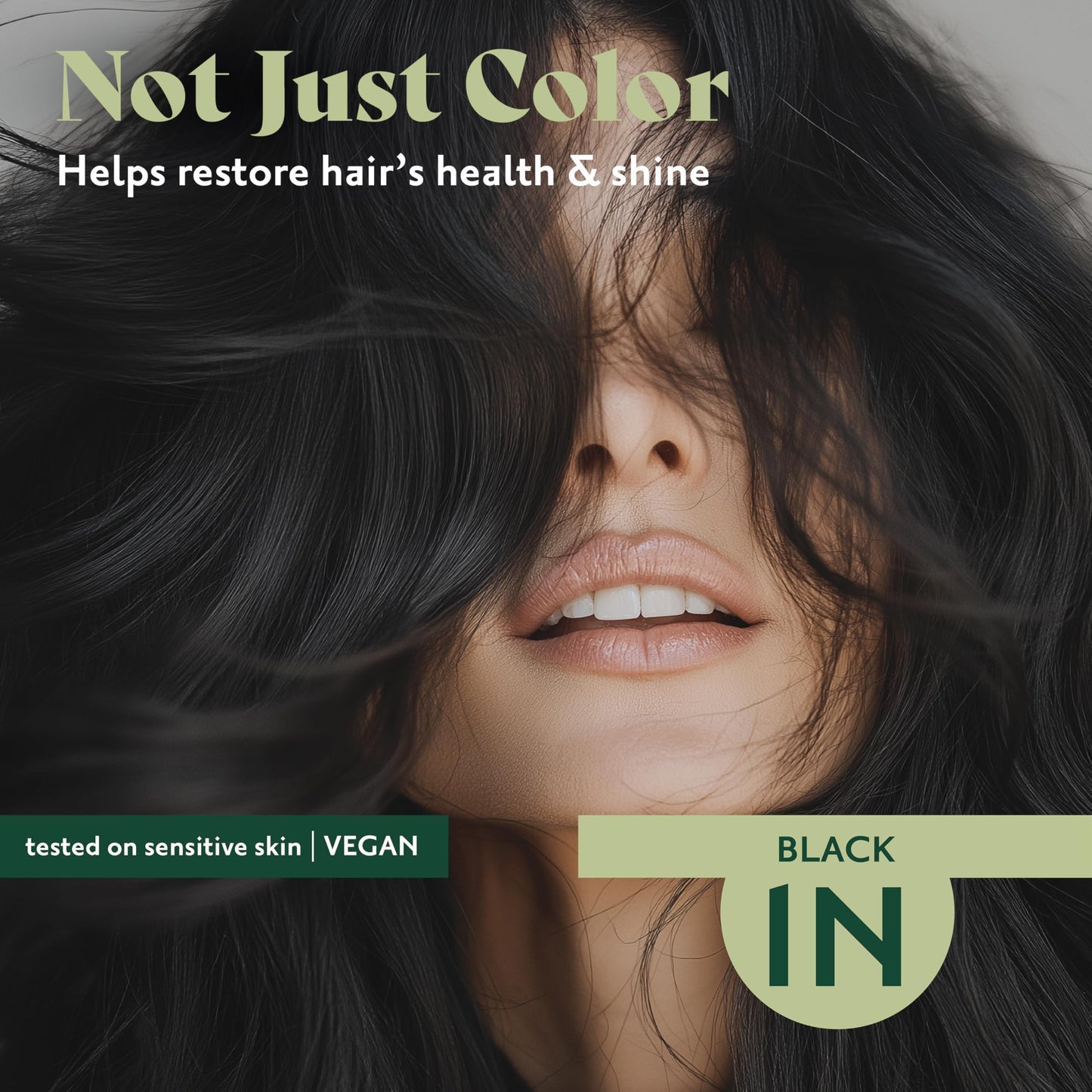 Black Herbatint Permanent Hair Dye - 1N Black - For Up To 100% Gray Coverage of Resistant Gray Hair - Ammonia-Free, Alcohol-Free & Vegan - Salon Influenced Hair color 5.75 fl oz