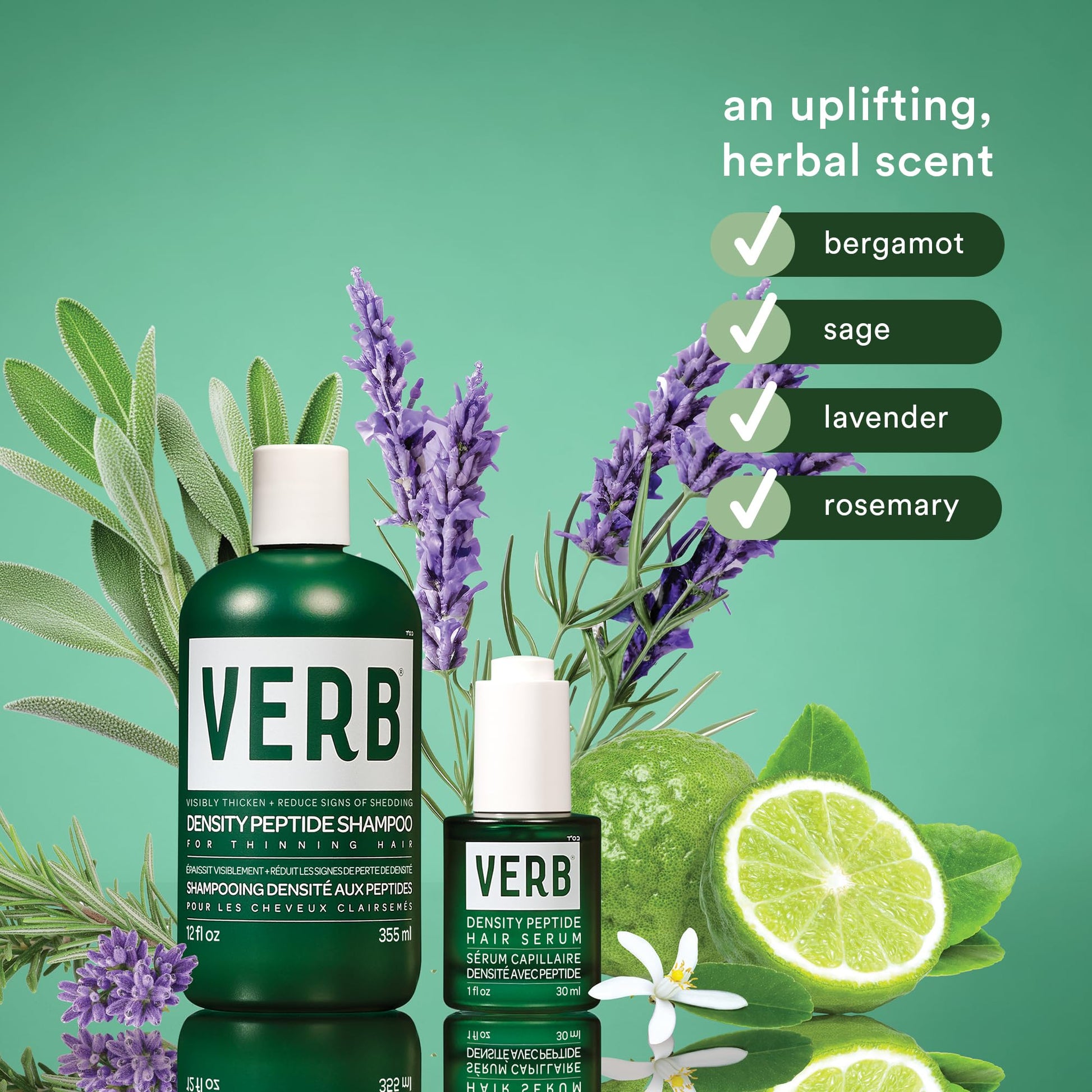 Medium Aquamarine VERB Density Peptide Shampoo 12 fl oz - Visibly Thicken + Reduce Signs of Shedding- No Parabens or Harmful Sulfates