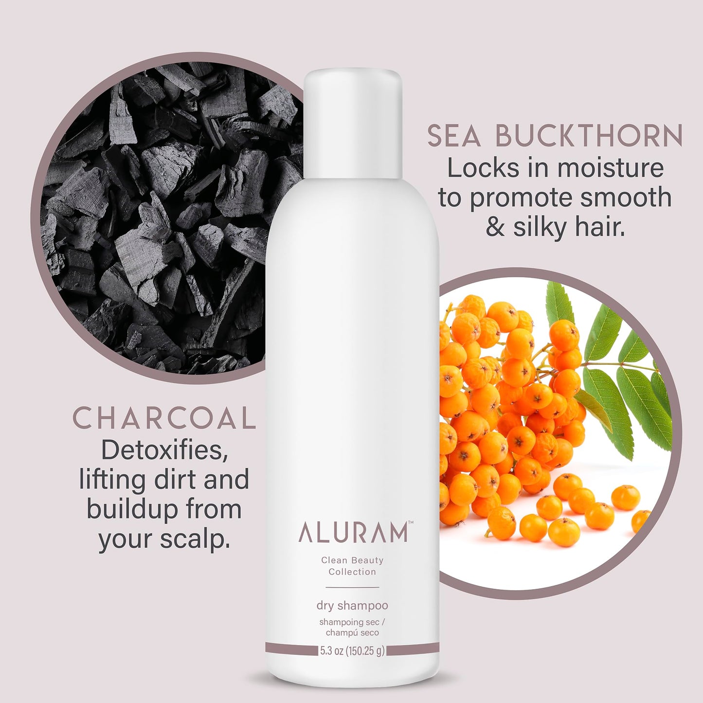 Light Gray ALURAM Dry Shampoo, Refresh & Revitalize Hair Between Washes, 5.3 Fl Oz
