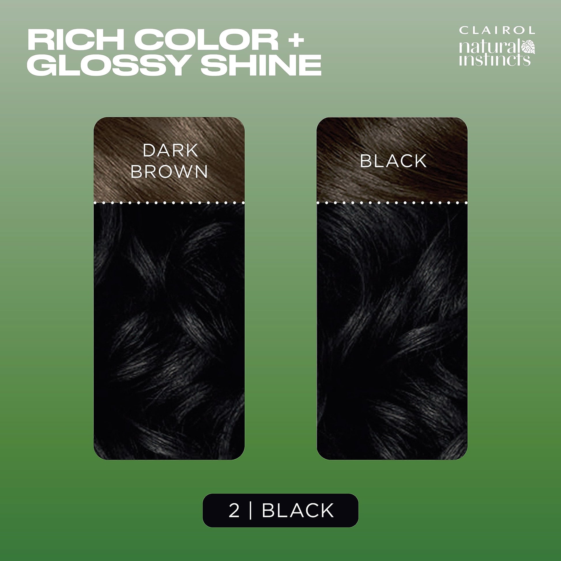Black Clairol Natural Instincts Demi-Permanent Hair Dye, 2 Black Hair Color, Pack of 1