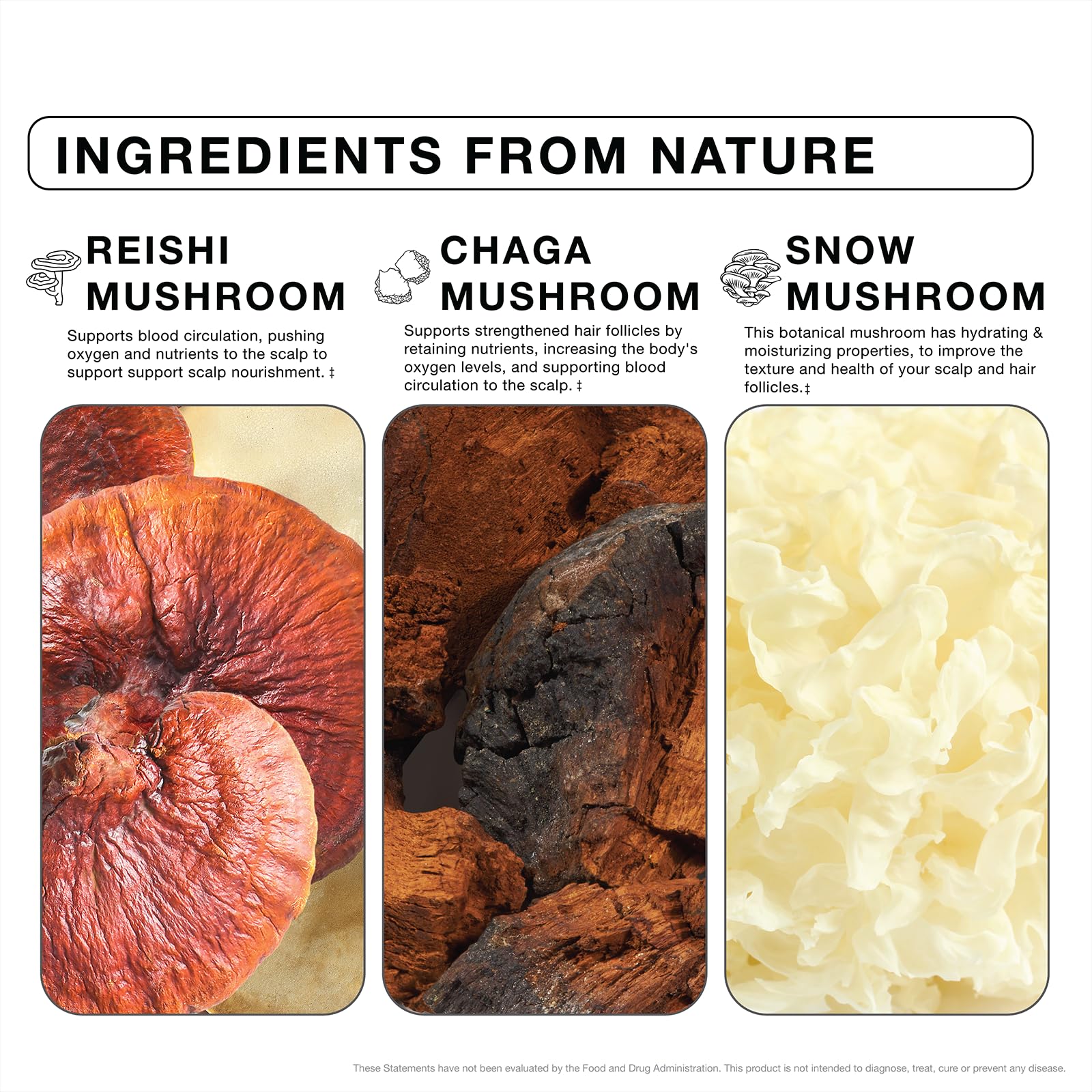 White Smoke IMARAÏS Beauty Grow Haircare Gummy - Organic Functionable Mushrooms to Support Healthy Hair Growth & Nourish Scalp - Chaga, Reishi, Snow Mushroom - Blueberry Flavored, Sugar-Free, 60 Gummies