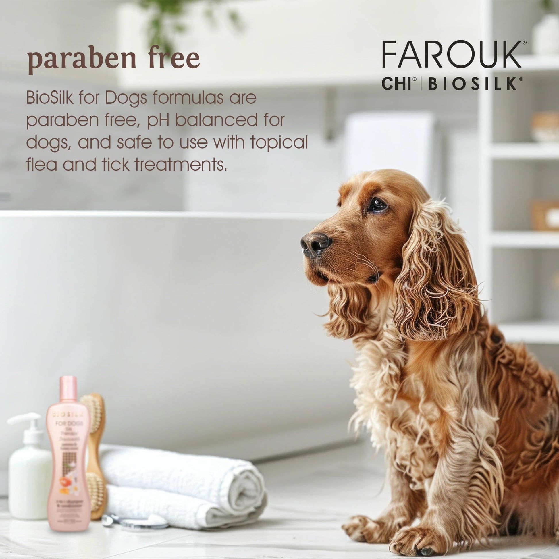 Lavender BioSilk for Dogs Silk Therapy Irresistible 2-in-1 Shampoo and Conditioner, Jasmine and Honey Scent, Hydrolyzed Silk Proteins, Paraben Free, pH Balanced for Dogs, Safe 8 Weeks+, 12 fl oz