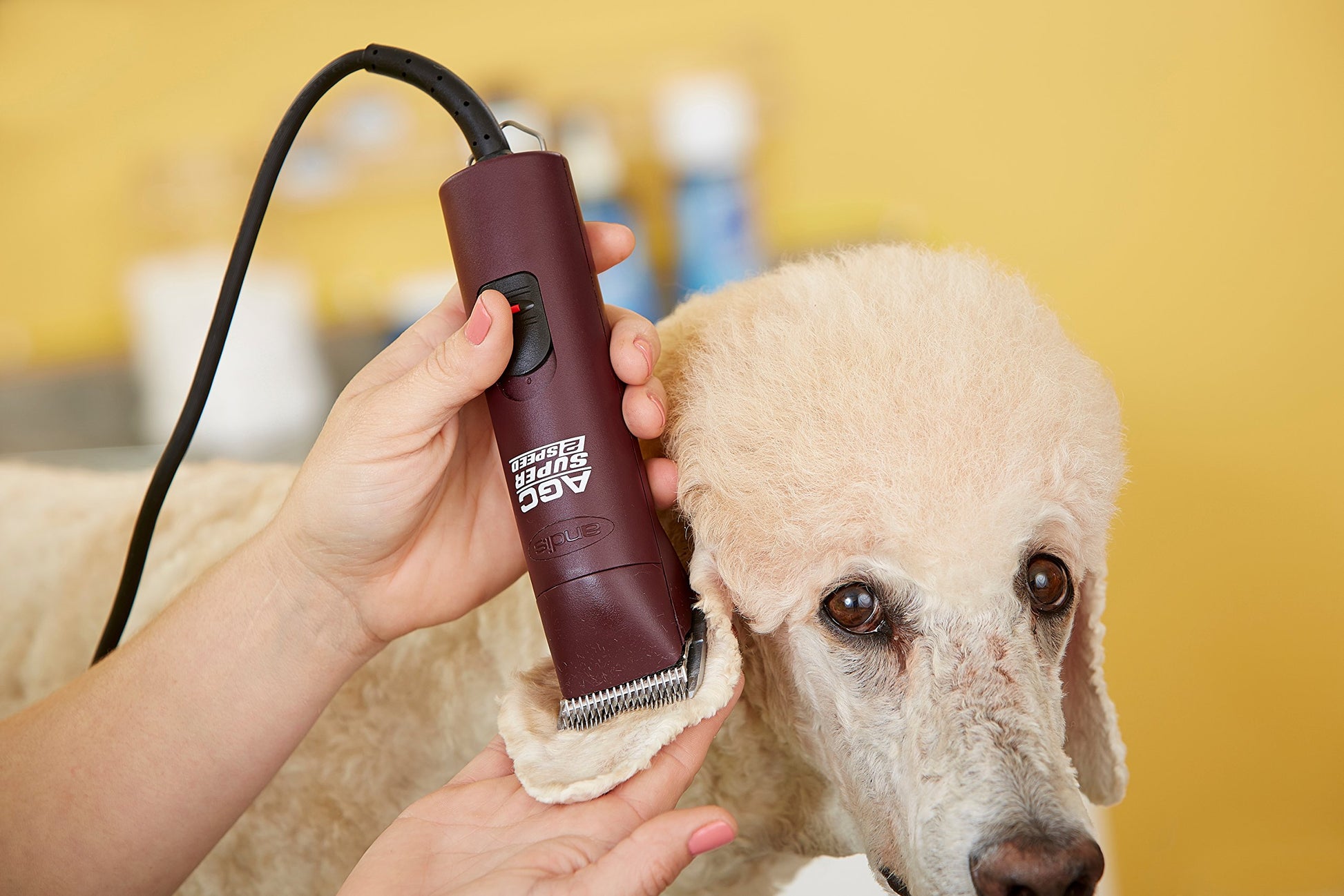 Light Goldenrod Andis 22685 Professional UltraEdge Super 2-Speed Detachable Blade Clipper – Rotary Motor with Shatter-Proof Housing, Runs Calm & Silent, 14-Inch Cord - for All Coats & Breeds - 120 Volts, Burgundy