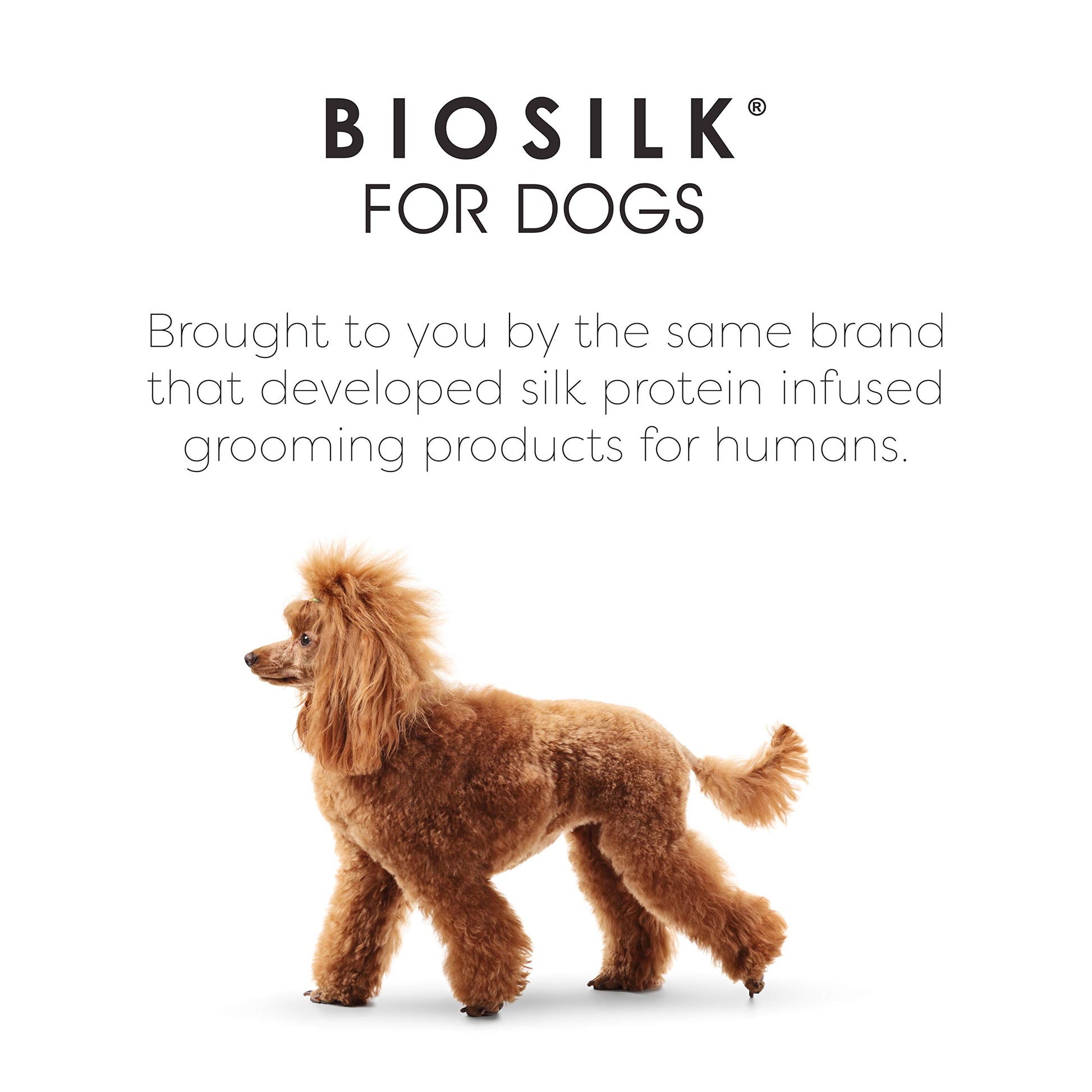 White Smoke BioSilk for Pets Eco Friendly Detangling Pin Brush for Dogs, Gentle Dog Grooming Brush Designed to Help Remove Knots and Tangles and Support Healthy Coats for All Dogs