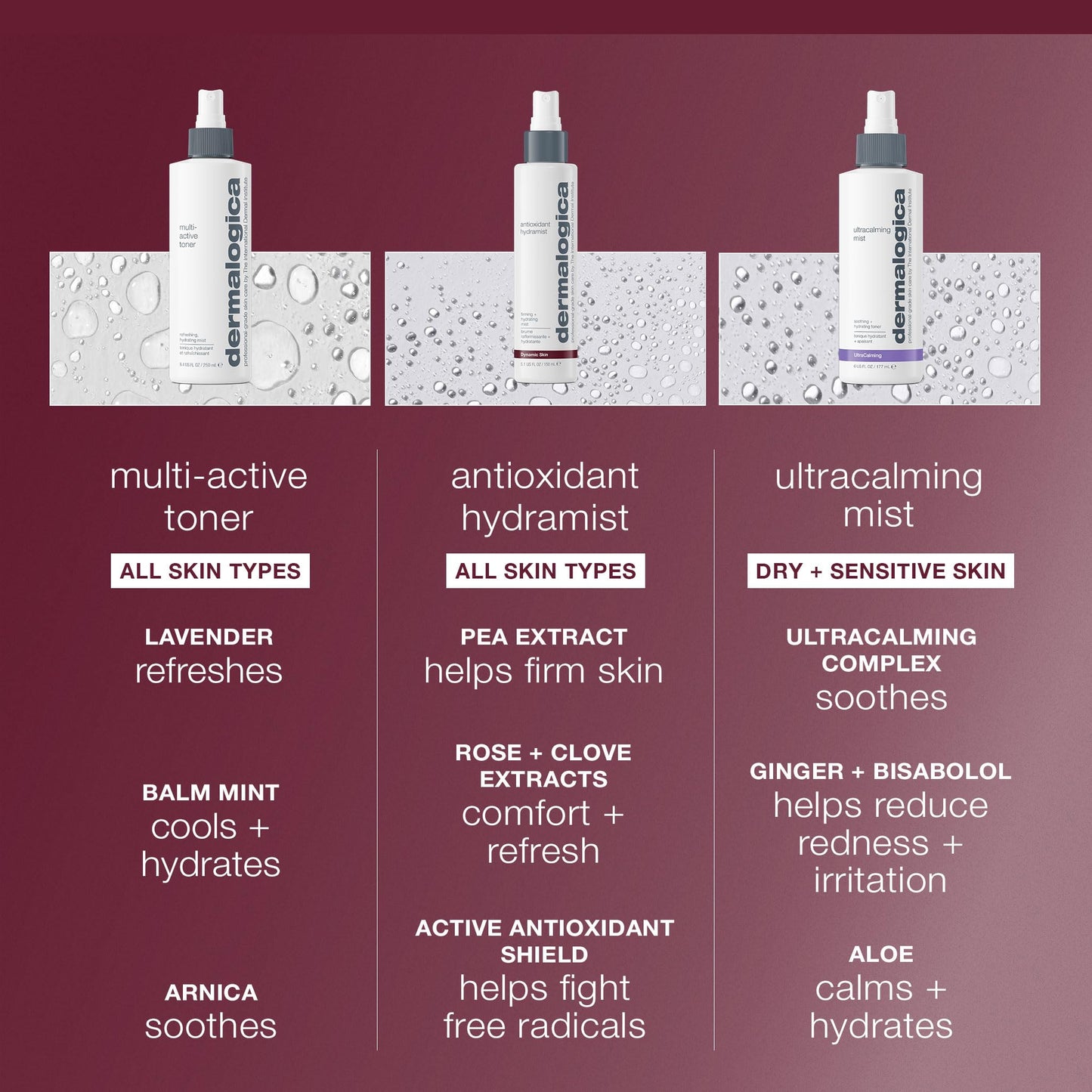 Sienna Dermalogica Antioxidant Hydramist Toner Anti-Aging Toner Spray for Face that helps Firm and Hydrate Skin - For Use Throughout the Day